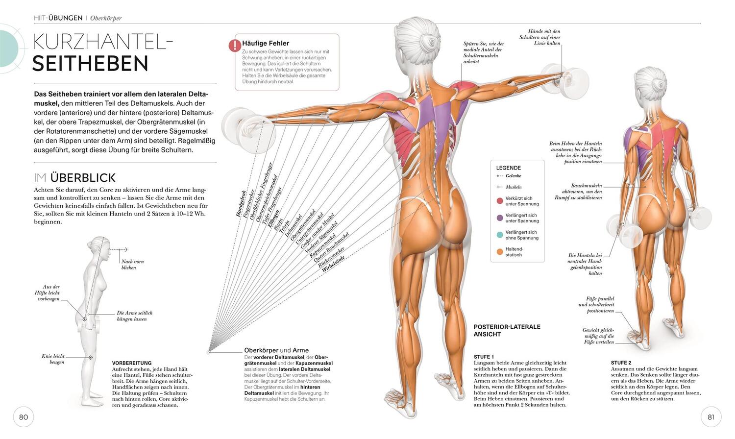 Bild: 9783831045303 | HIIT - Die Anatomie verstehen | Ingrid S. Clay | Taschenbuch | 224 S.