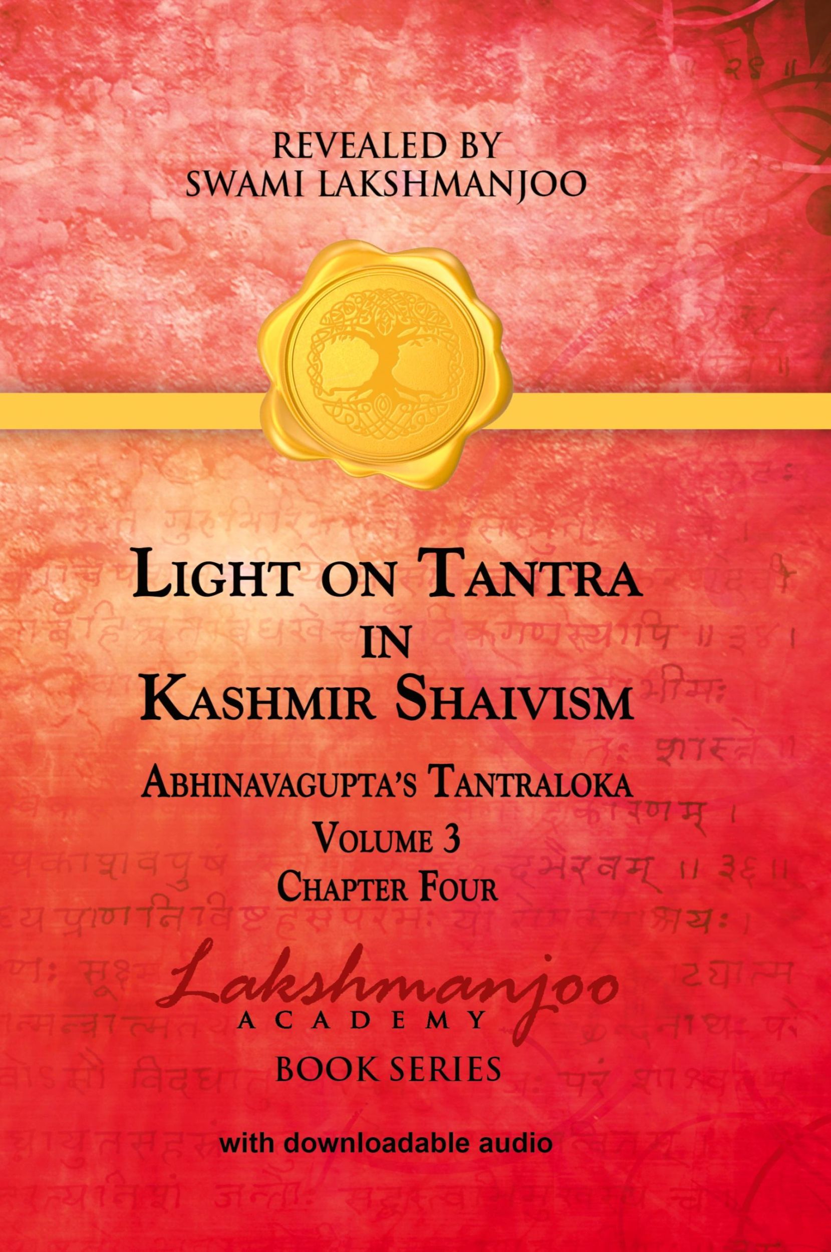 Cover: 9781947241145 | Light on Tantra in Kashmir Shaivism - Volume 3 | Viresh Hughes | Buch