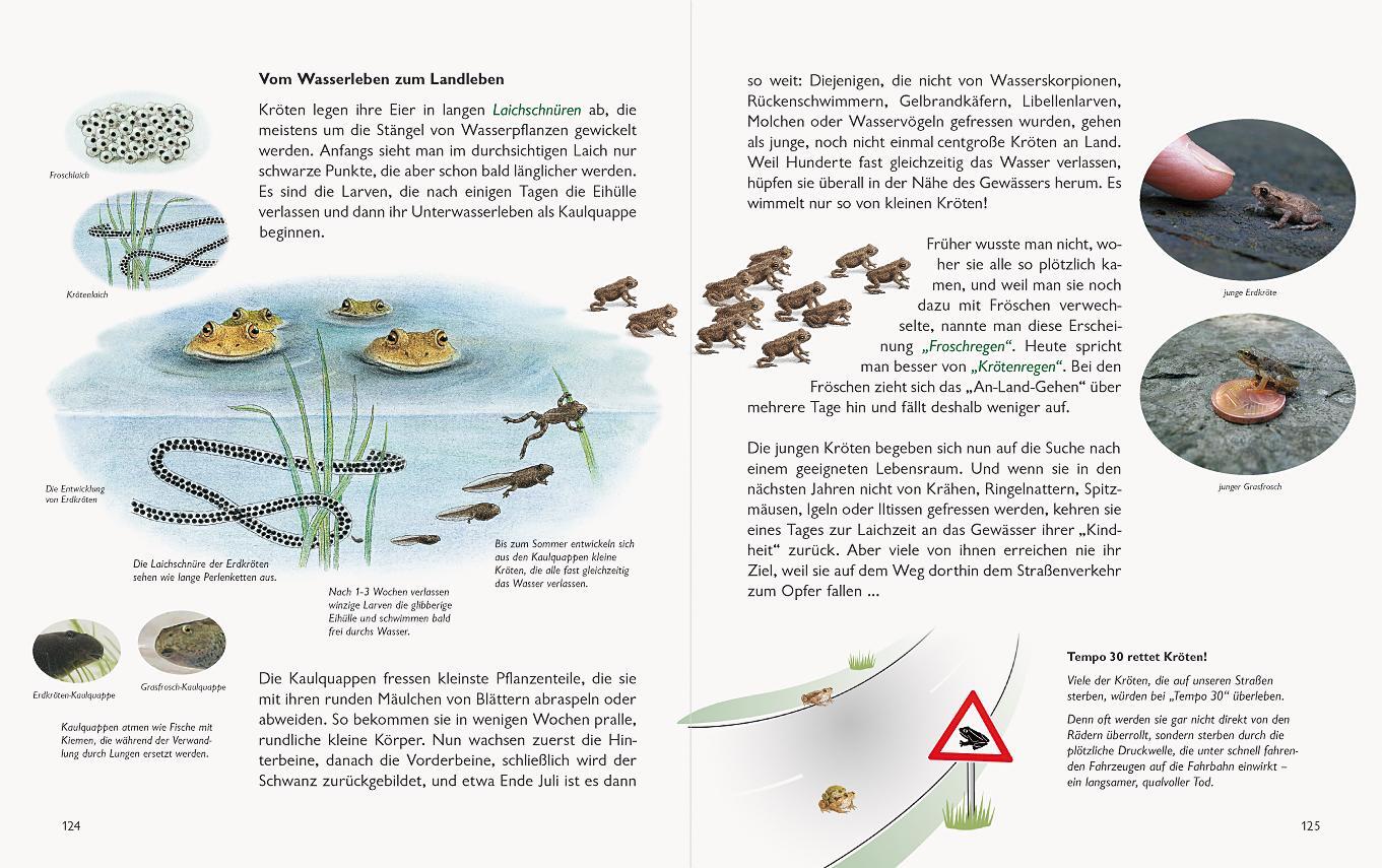 Bild: 9783981548570 | Wawra's Naturbuch, Band 1: Säugetiere, Vögel, Reptilien, Amphibien