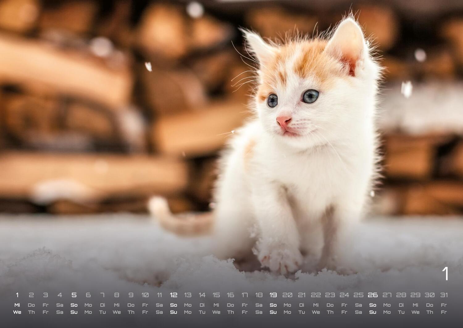 Bild: 9783986733872 | Miau Kids - kleine Tiger ganz groß - Der Katzenkalender - 2025 -...