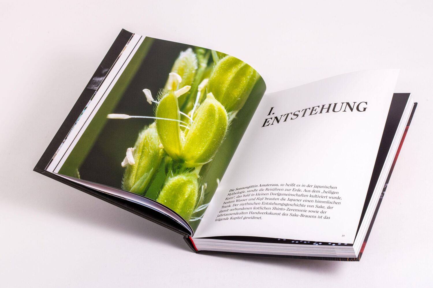 Bild: 9783791393032 | Sake | Yoshiko Ueno-Müller | Buch | Mit Folienprägung | 304 S. | 2024