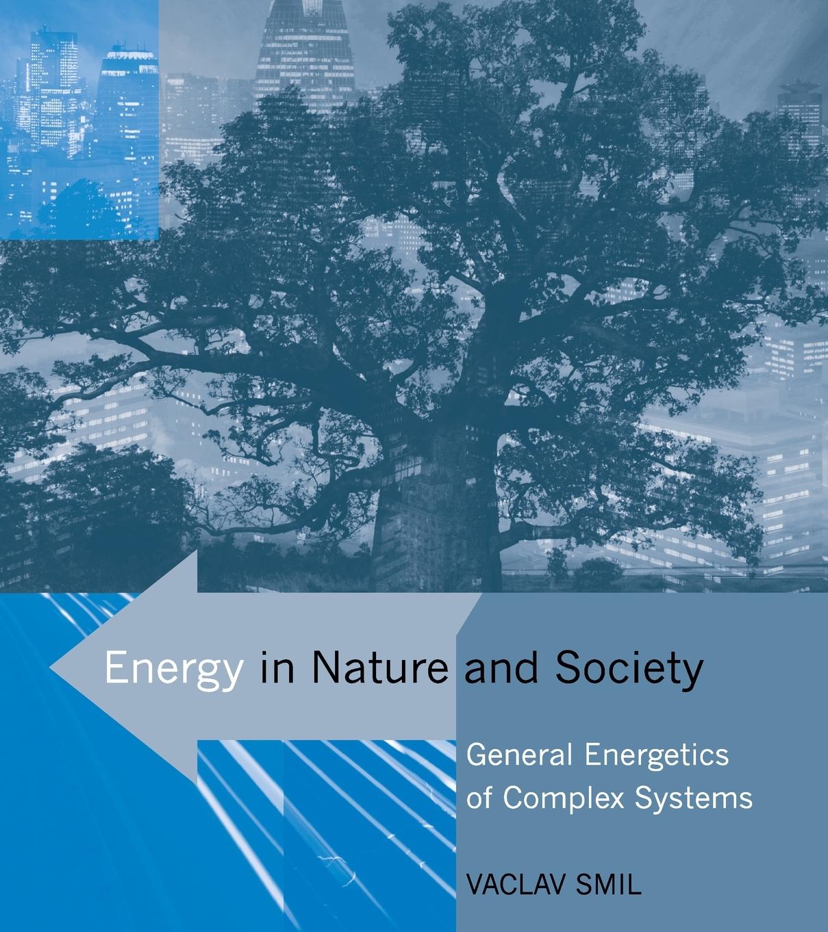 Cover: 9780262693561 | Energy in Nature and Society | General Energetics of Complex Systems