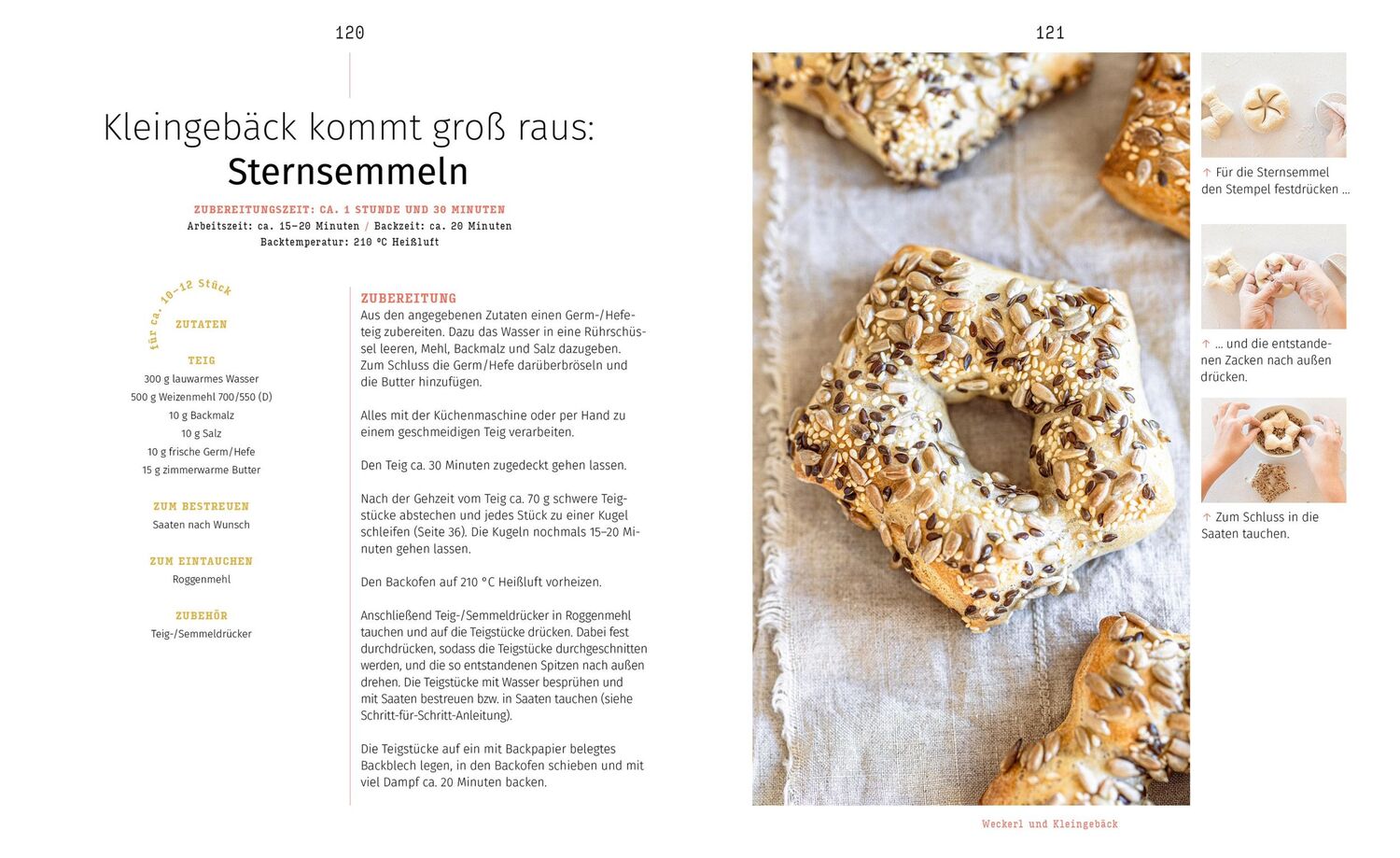 Bild: 9783706629706 | Das große Brotbackbuch | Christina Bauer | Buch | 352 S. | Deutsch