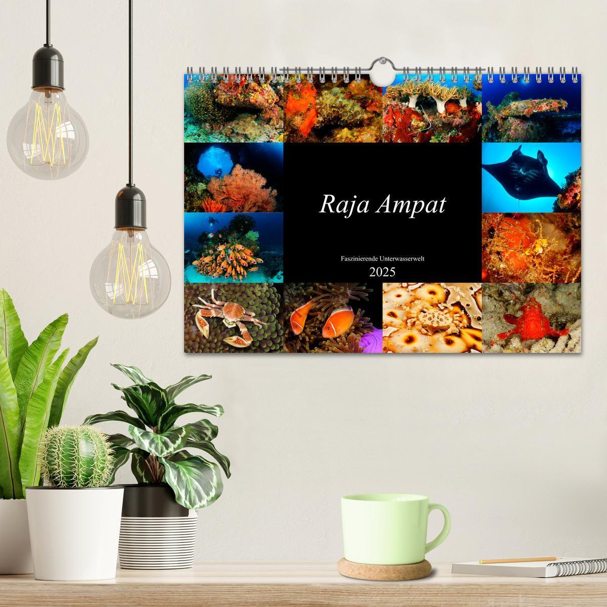 Bild: 9783435397976 | Raja Ampat - Faszinierende Unterwasserwelt (Wandkalender 2025 DIN...