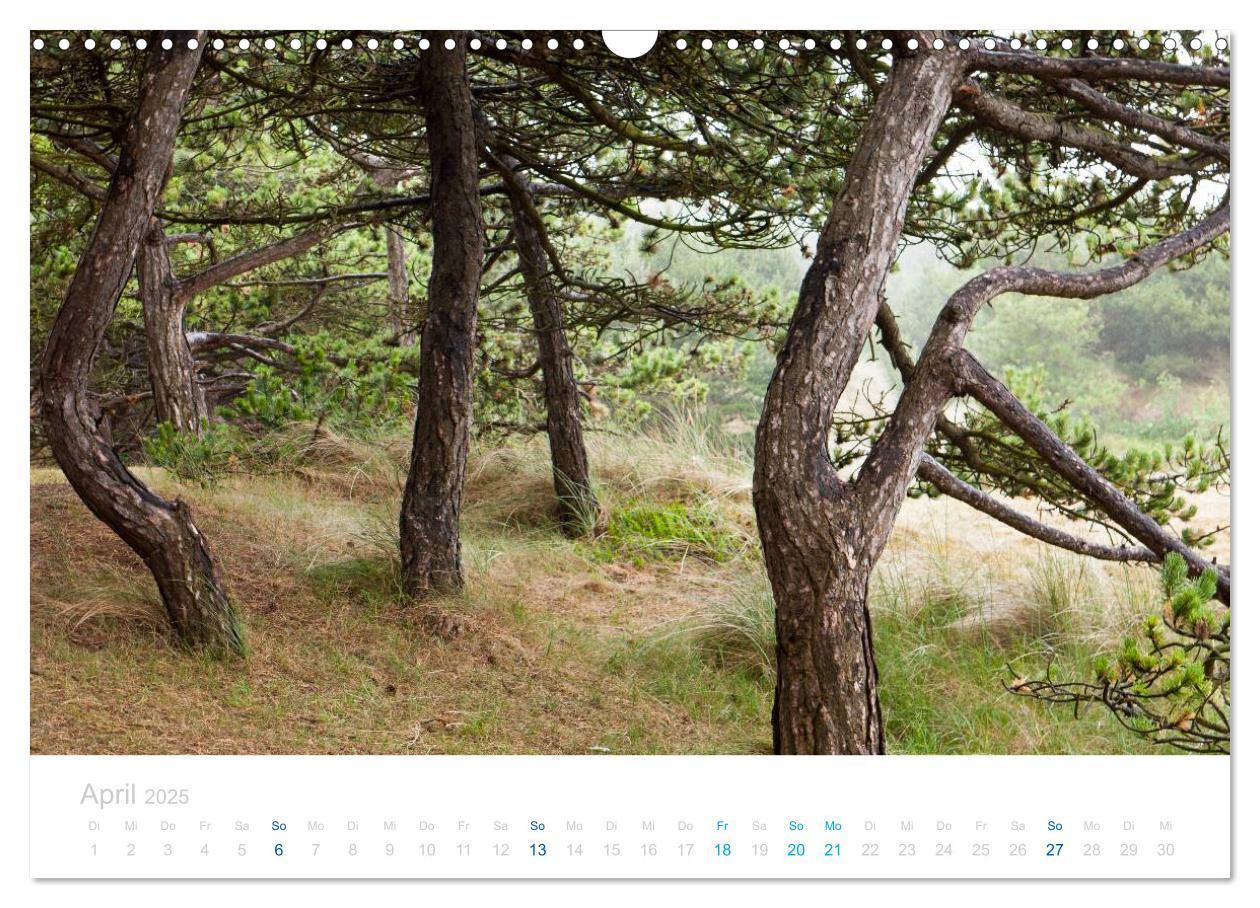 Bild: 9783435816705 | Ameland (Wandkalender 2025 DIN A3 quer), CALVENDO Monatskalender