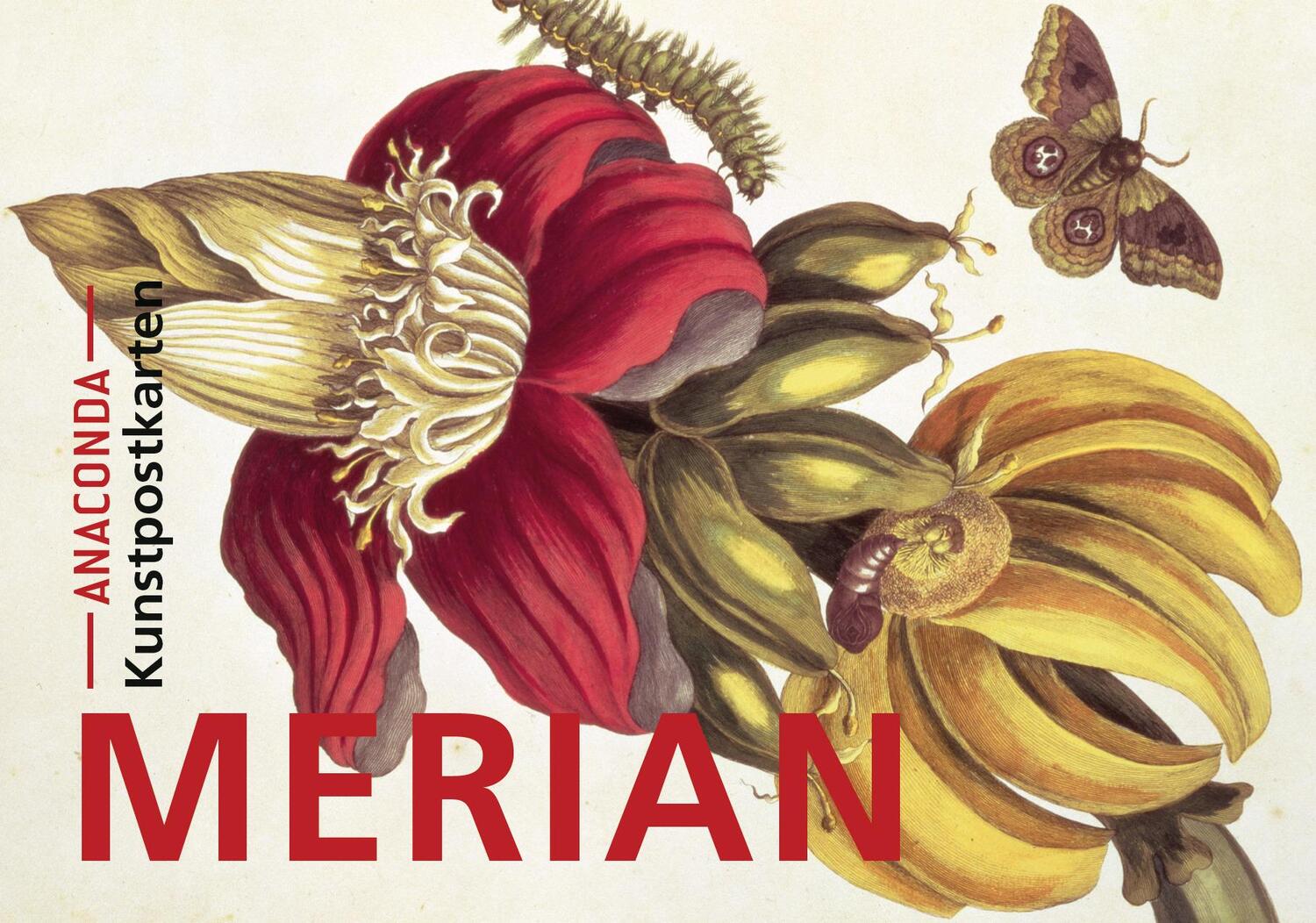 Cover: 9783730610695 | Postkarten-Set Maria Sibylla Merian | Maria Sibylla Merian | Buch