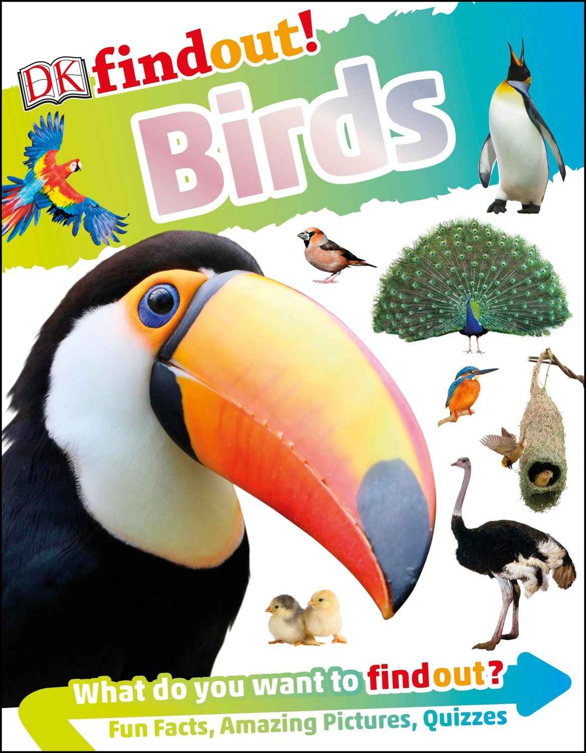 Cover: 9780241358474 | DKfindout! Birds | Dk | Taschenbuch | Kartoniert / Broschiert | 2019