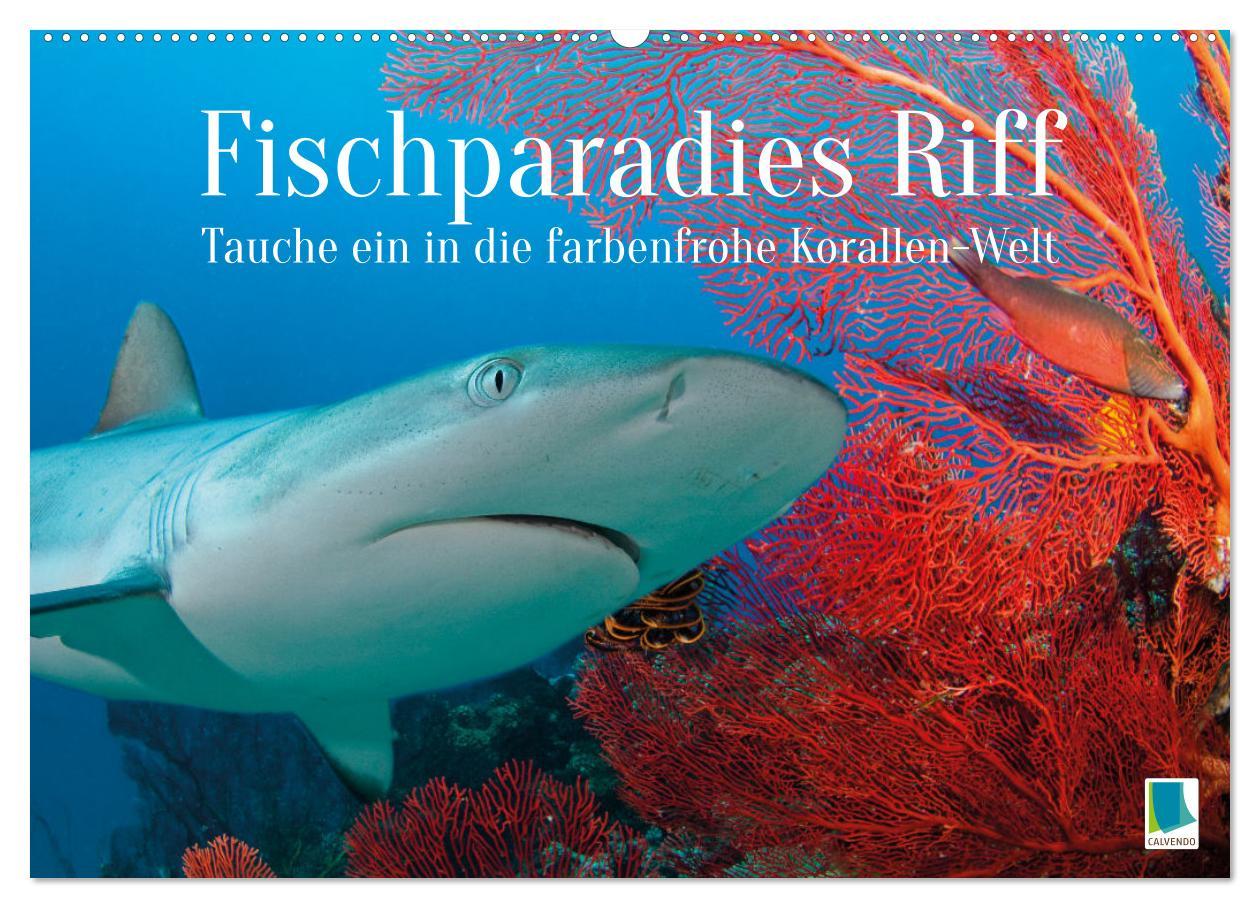 Cover: 9783383778094 | Fischparadies Riff (Wandkalender 2025 DIN A2 quer), CALVENDO...