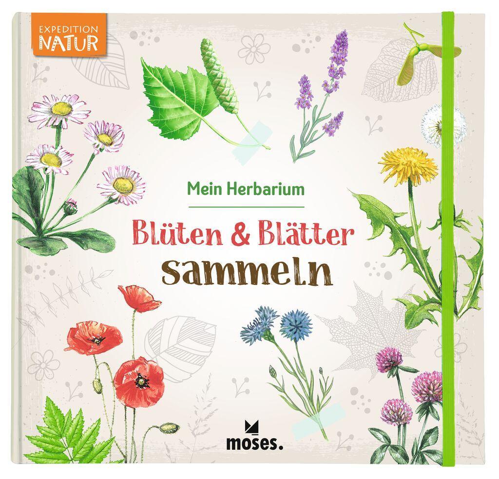 Cover: 9783964551924 | Blüten &amp; Blätter sammeln | Mein Herbarium | Anke Küpper | Taschenbuch