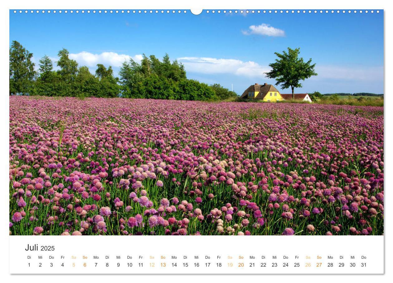 Bild: 9783435688791 | Bornholm Pur (Wandkalender 2025 DIN A2 quer), CALVENDO Monatskalender