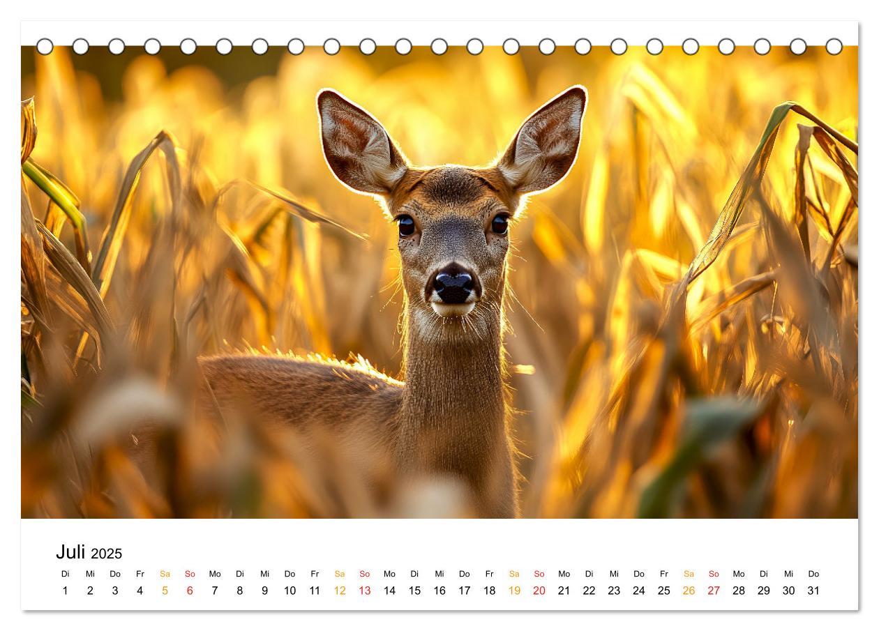 Bild: 9783457212998 | Wilde Tierwelt im Wald (Tischkalender 2025 DIN A5 quer), CALVENDO...