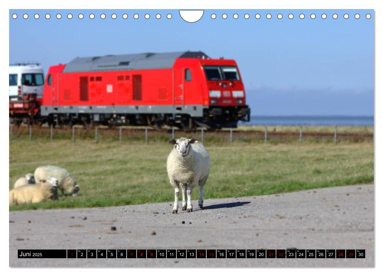 Bild: 9783435420544 | Die Marschbahn (Wandkalender 2025 DIN A4 quer), CALVENDO...