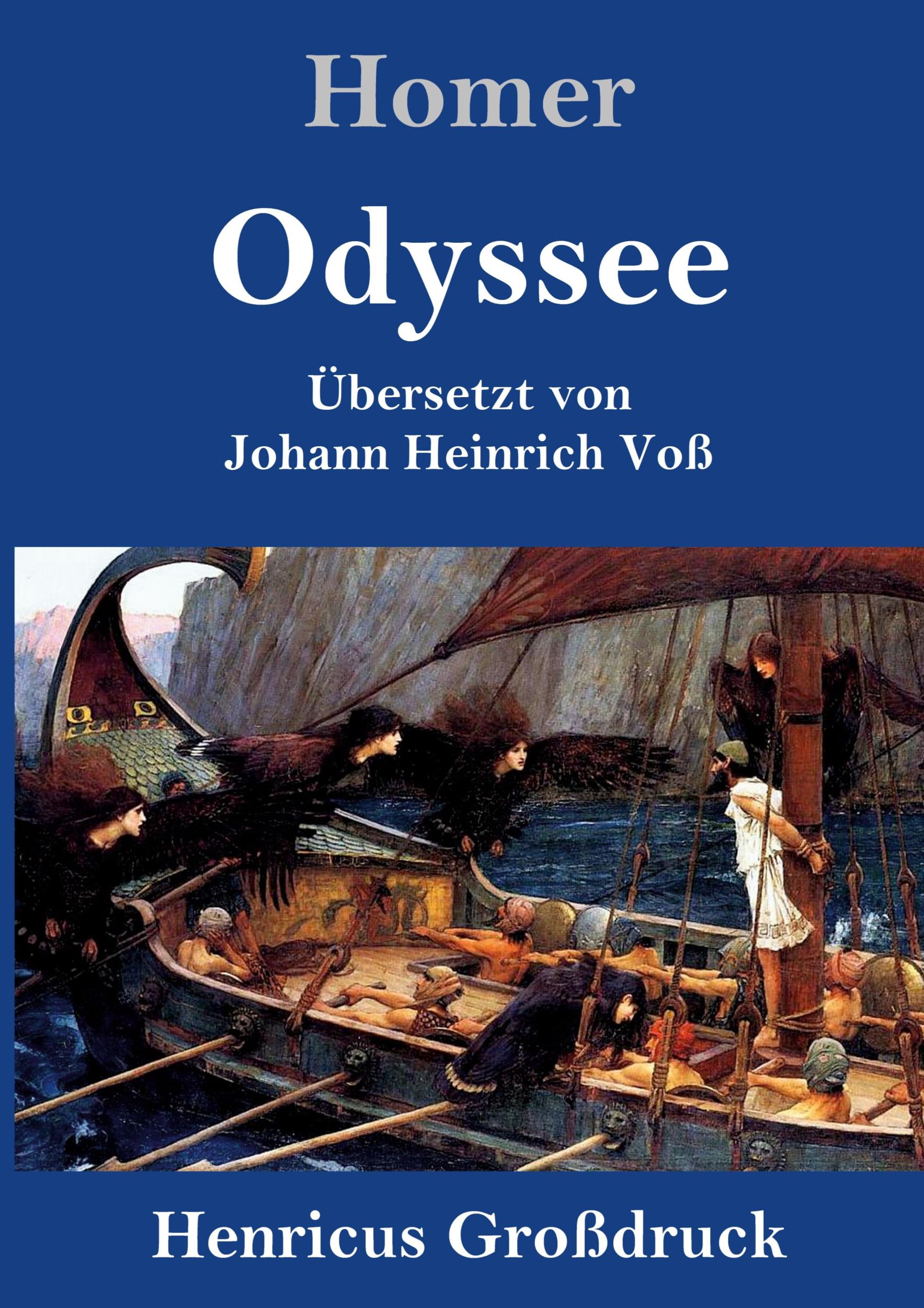 Cover: 9783847829232 | Odyssee (Großdruck) | Homer | Buch | HC runder Rücken kaschiert | 2019