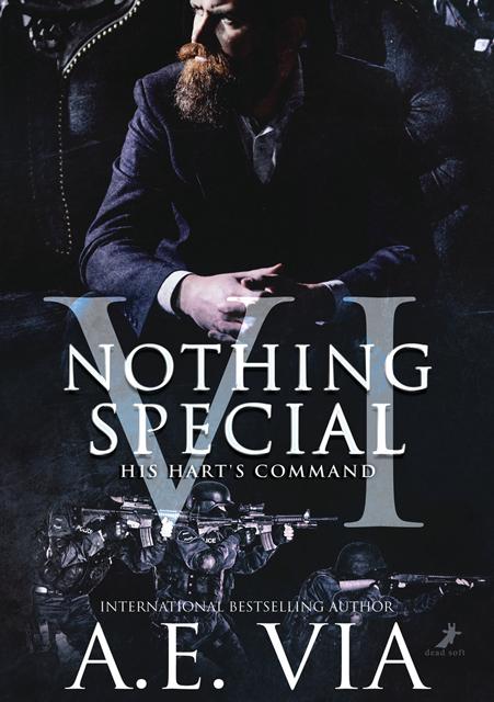 Cover: 9783960897392 | His Hart's Command | Nothing Special Band 6 | A. E. Via | Taschenbuch