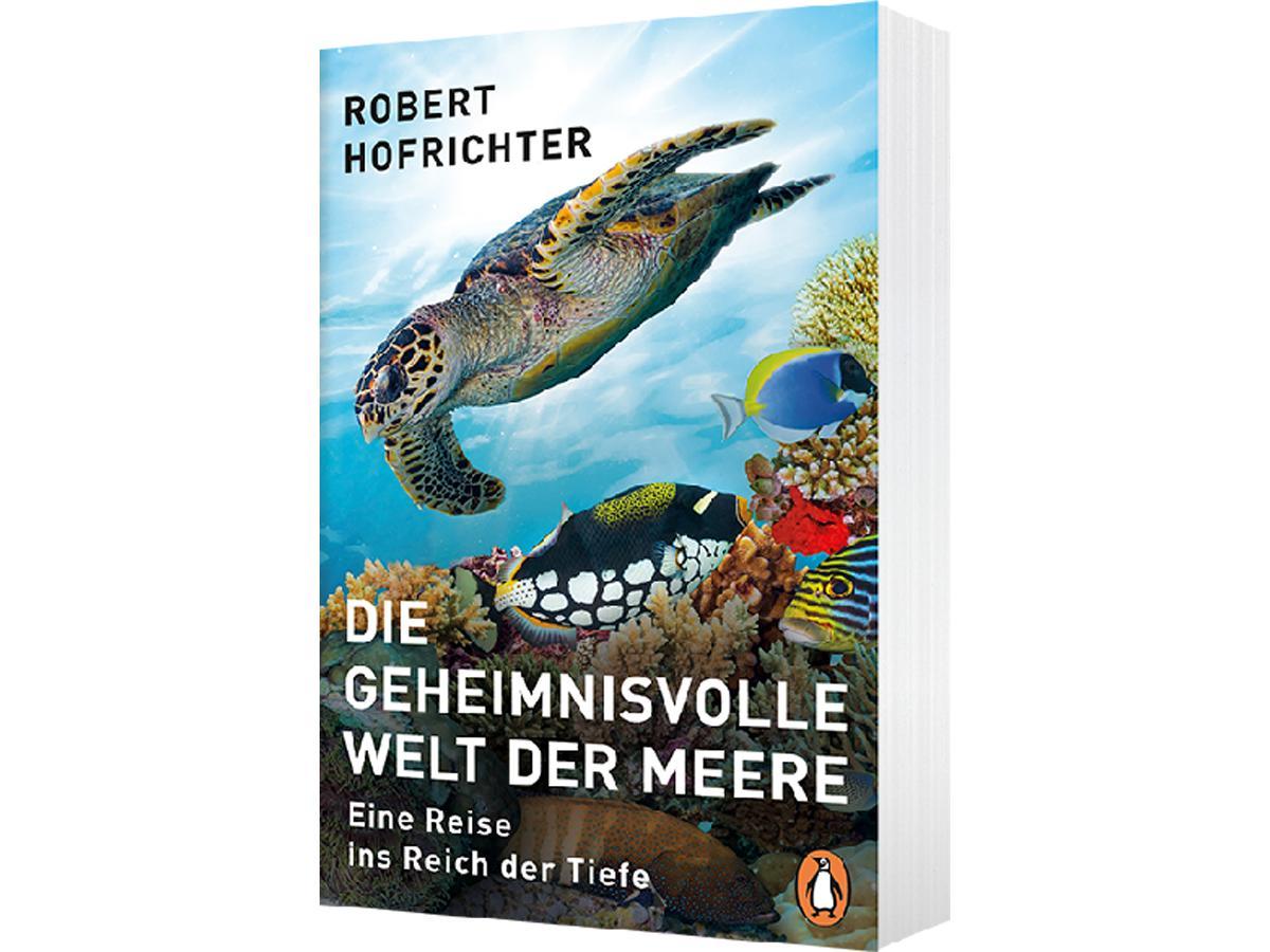 Bild: 9783328104308 | Die geheimnisvolle Welt der Meere | Eine Reise ins Reich der Tiefe