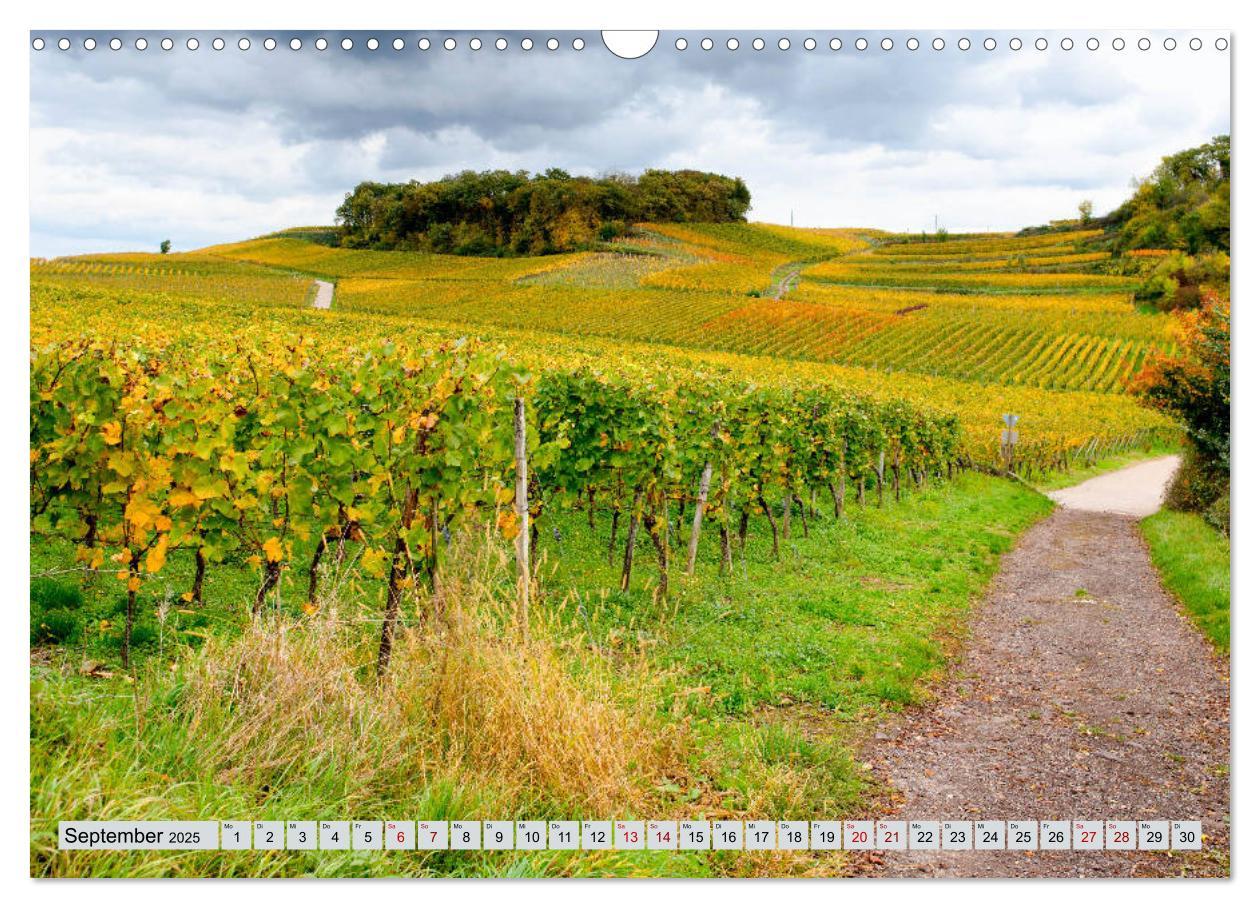 Bild: 9783435350377 | Weinregion Kaiserstuhl (Wandkalender 2025 DIN A3 quer), CALVENDO...