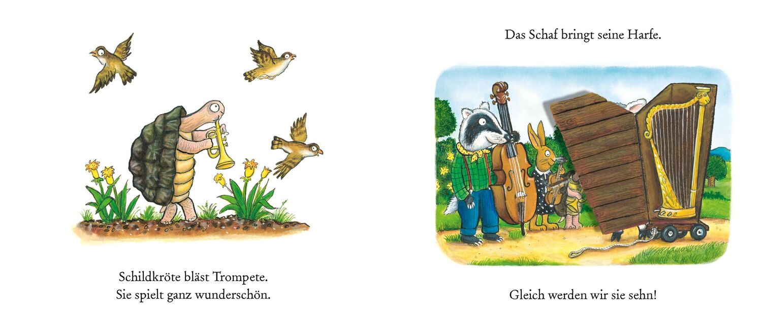 Bild: 9783407757517 | Der Dachs spielt super Kontrabass | Axel Scheffler (u. a.) | Buch