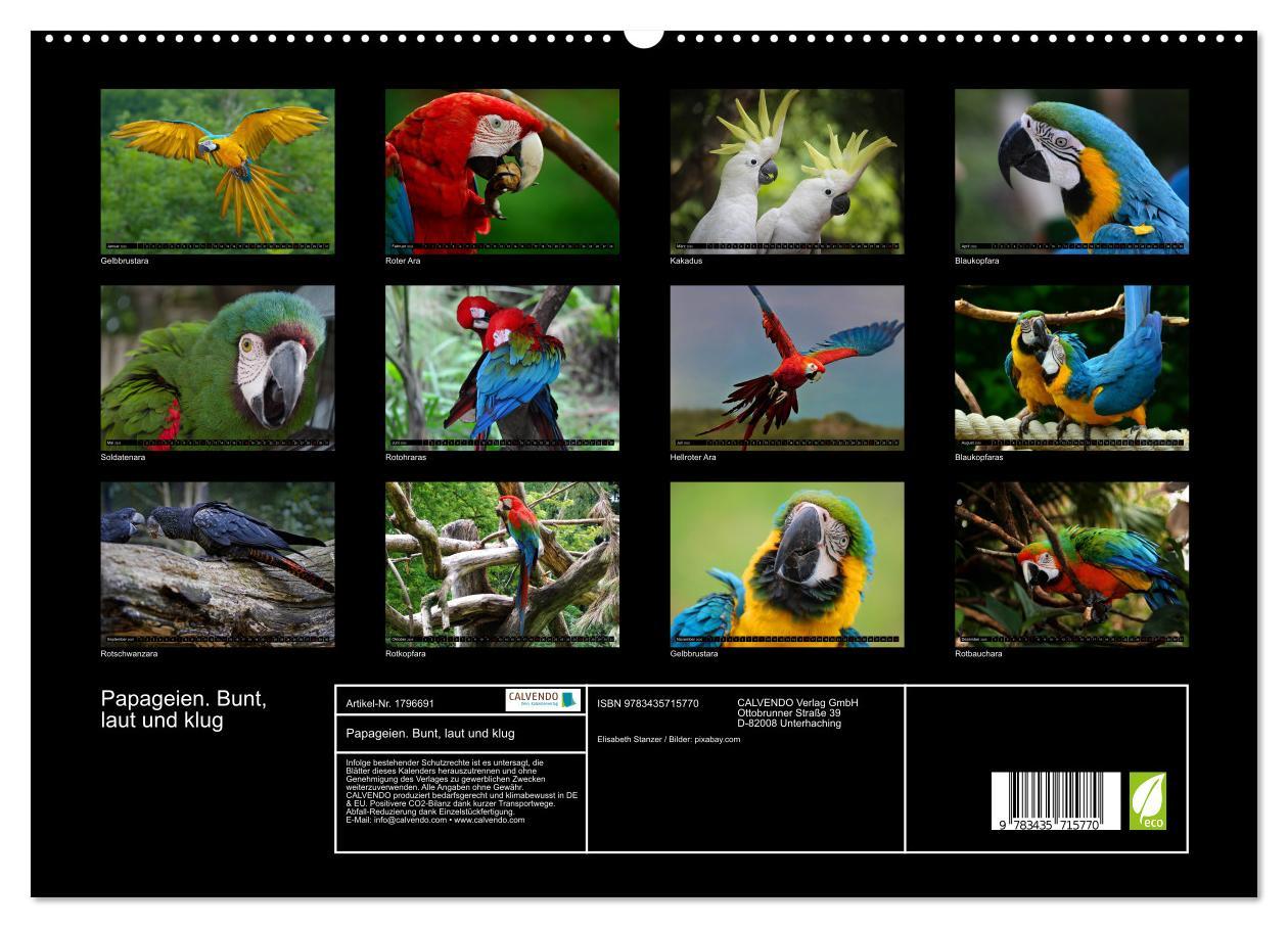 Bild: 9783435715770 | Papageien. Bunt, laut und klug (hochwertiger Premium Wandkalender...