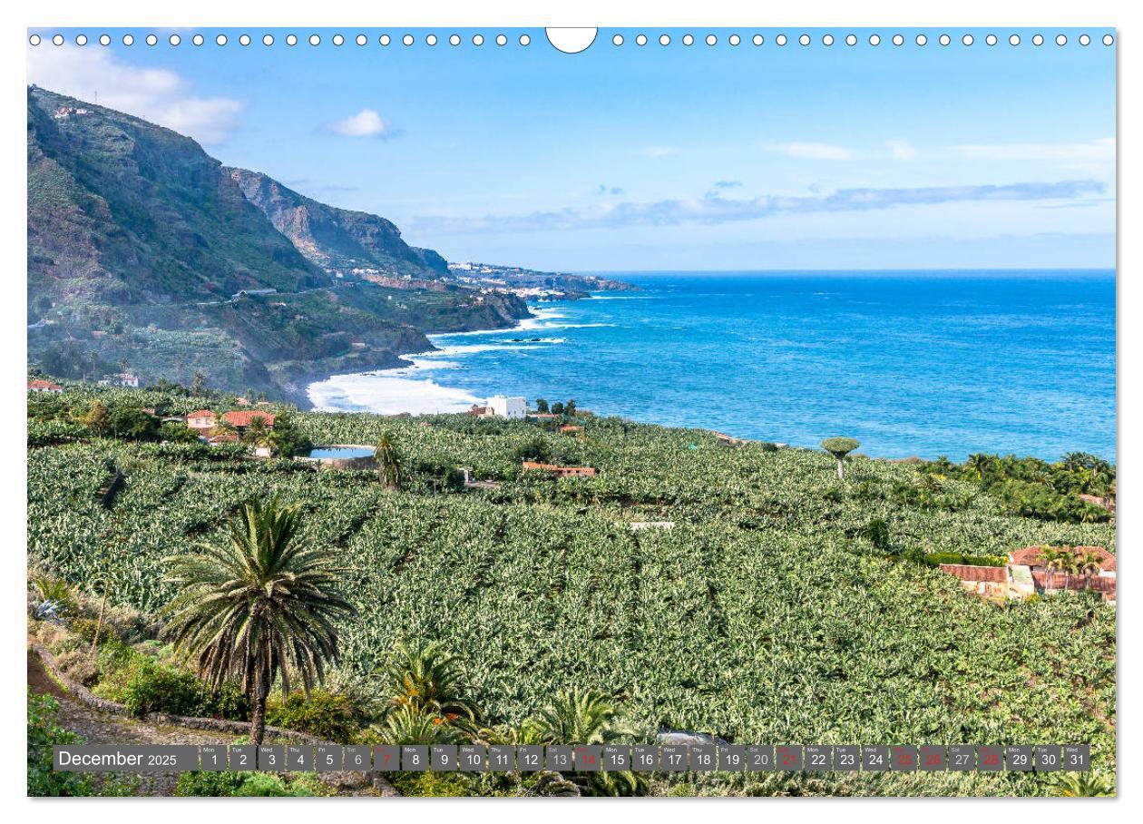 Bild: 9781325962242 | Tenerife - Magic Island in the Atlantic (Wall Calendar 2025 DIN A3...