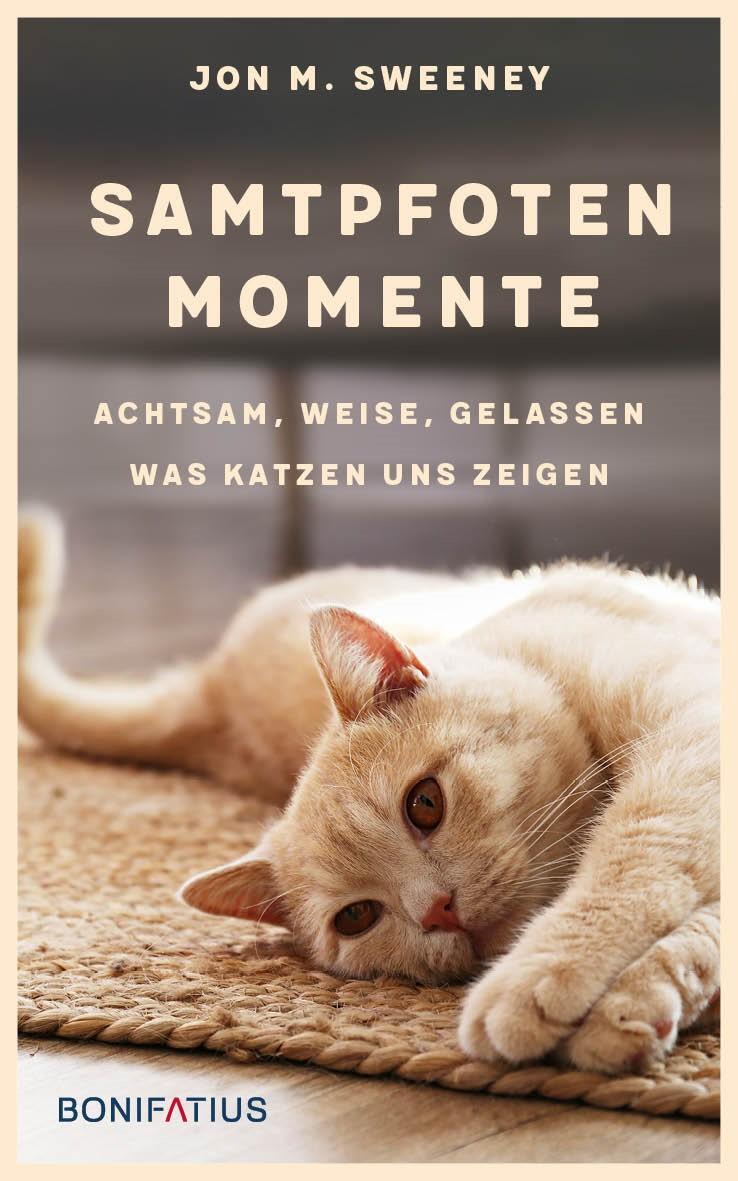 Cover: 9783987900341 | Samtpfotenmomente | Achtsam, weise, gelassen - Was uns Katzen zeigen