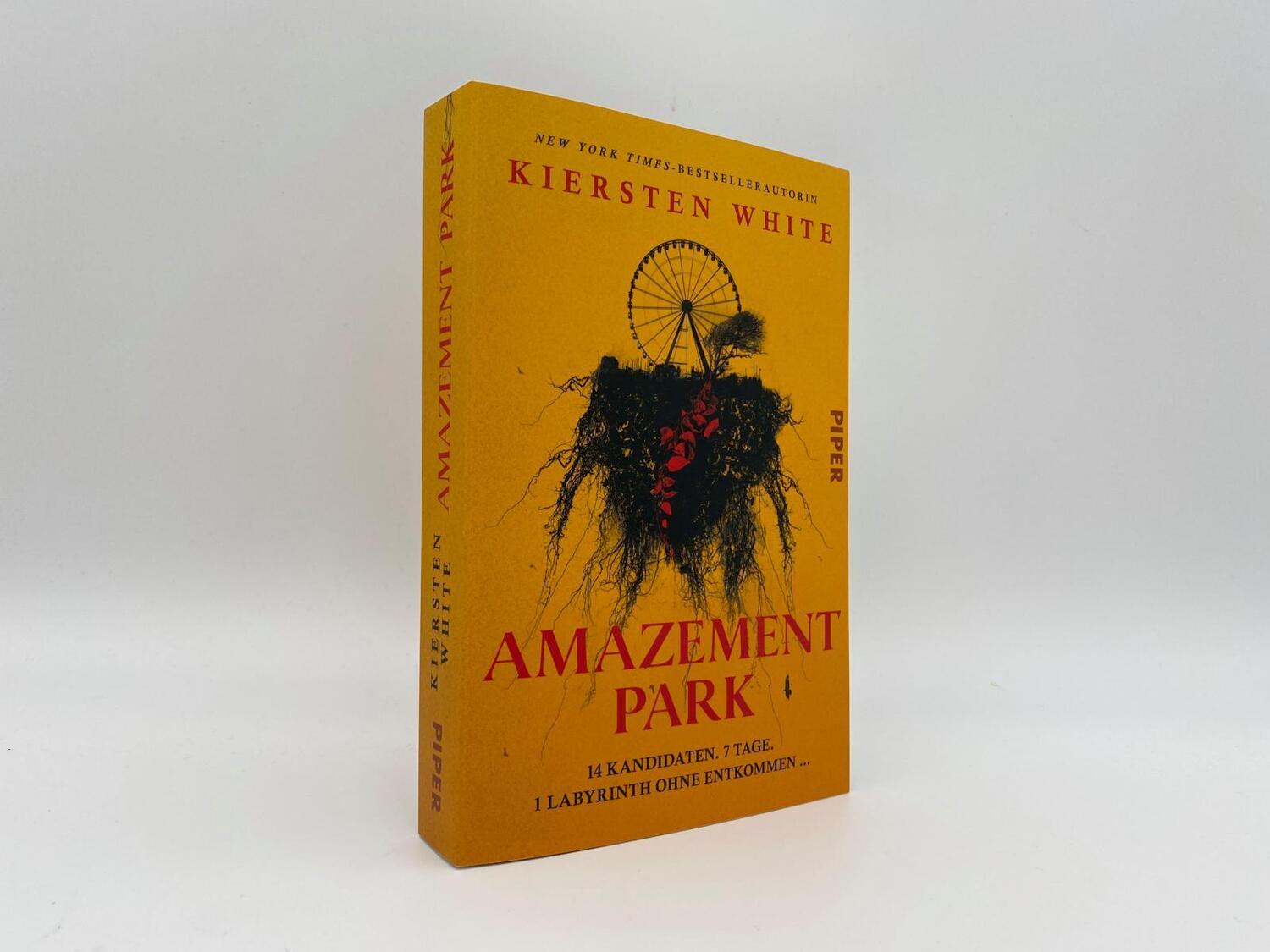 Bild: 9783492706391 | Amazement Park | Kiersten White | Taschenbuch | 336 S. | Deutsch