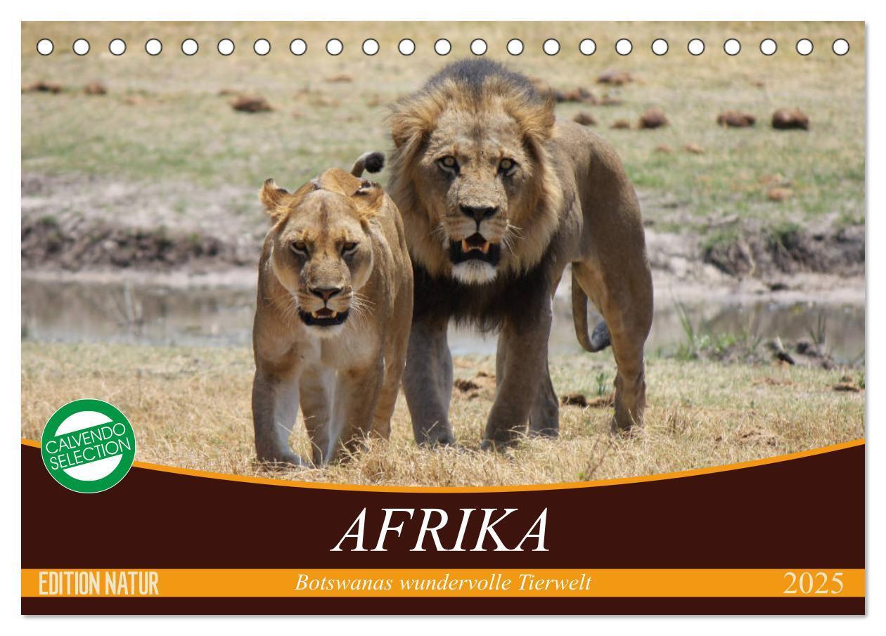 Cover: 9783435418237 | Afrika. Botswanas wundervolle Tierwelt (Tischkalender 2025 DIN A5...