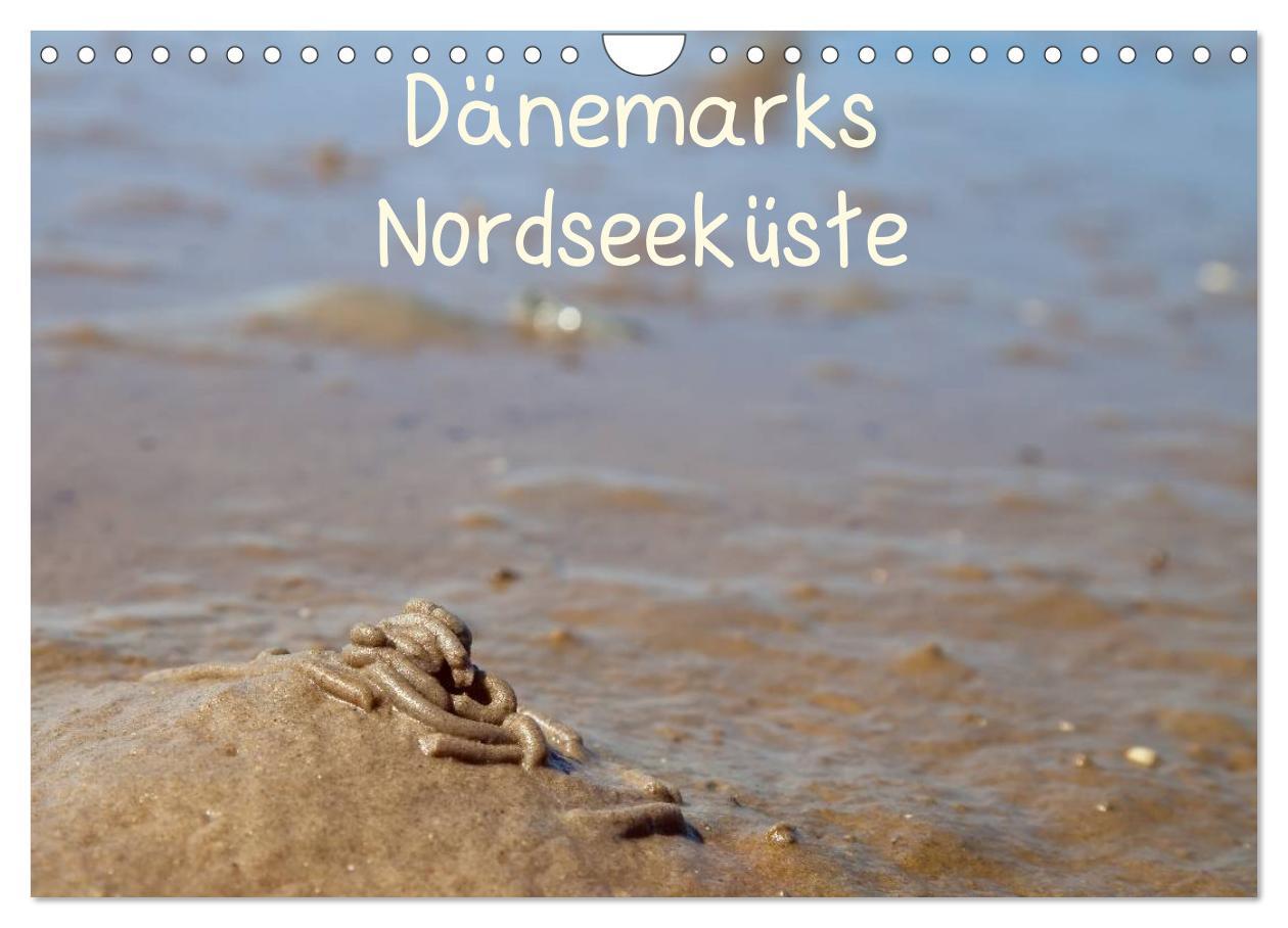 Cover: 9783435768530 | Dänemarks Nordseeküste (Wandkalender 2025 DIN A4 quer), CALVENDO...