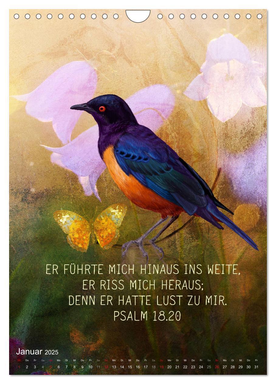 Bild: 9783435962655 | Bibelworte für Vogelfreunde (Wandkalender 2025 DIN A4 hoch),...