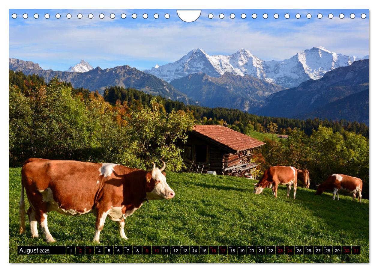 Bild: 9783435426409 | Eiger, Mönch und Jungfrau 2025 (Wandkalender 2025 DIN A4 quer),...