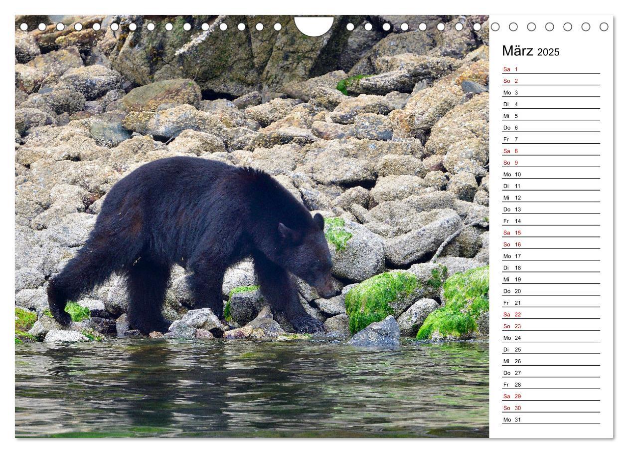 Bild: 9783435443949 | Vancouver Island - Perle im Kanadischen Westen (Wandkalender 2025...