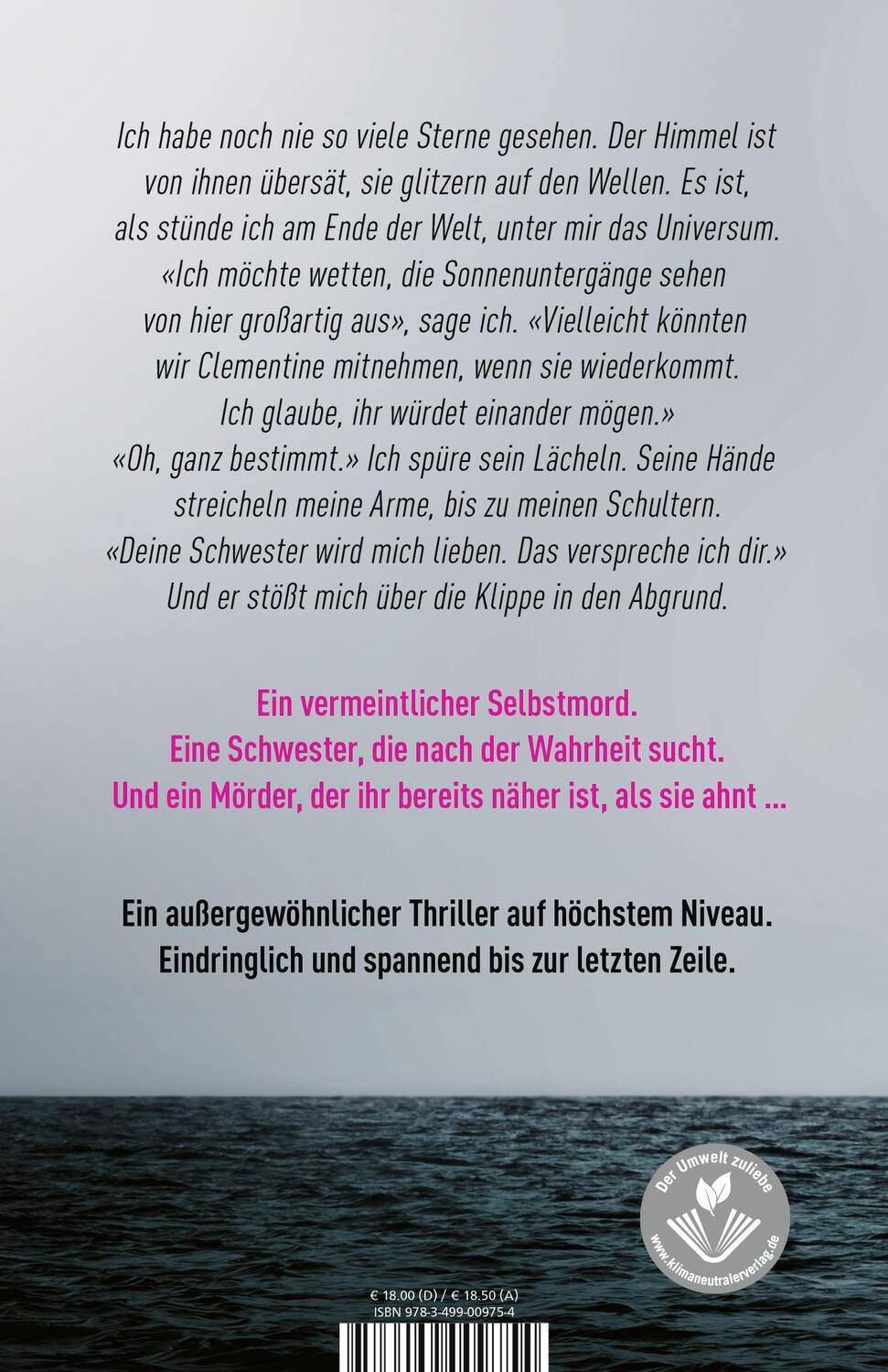 Rückseite: 9783499009754 | Abgrund | Du weißt, sie ist nicht gesprungen. | Lucy Goacher | Buch