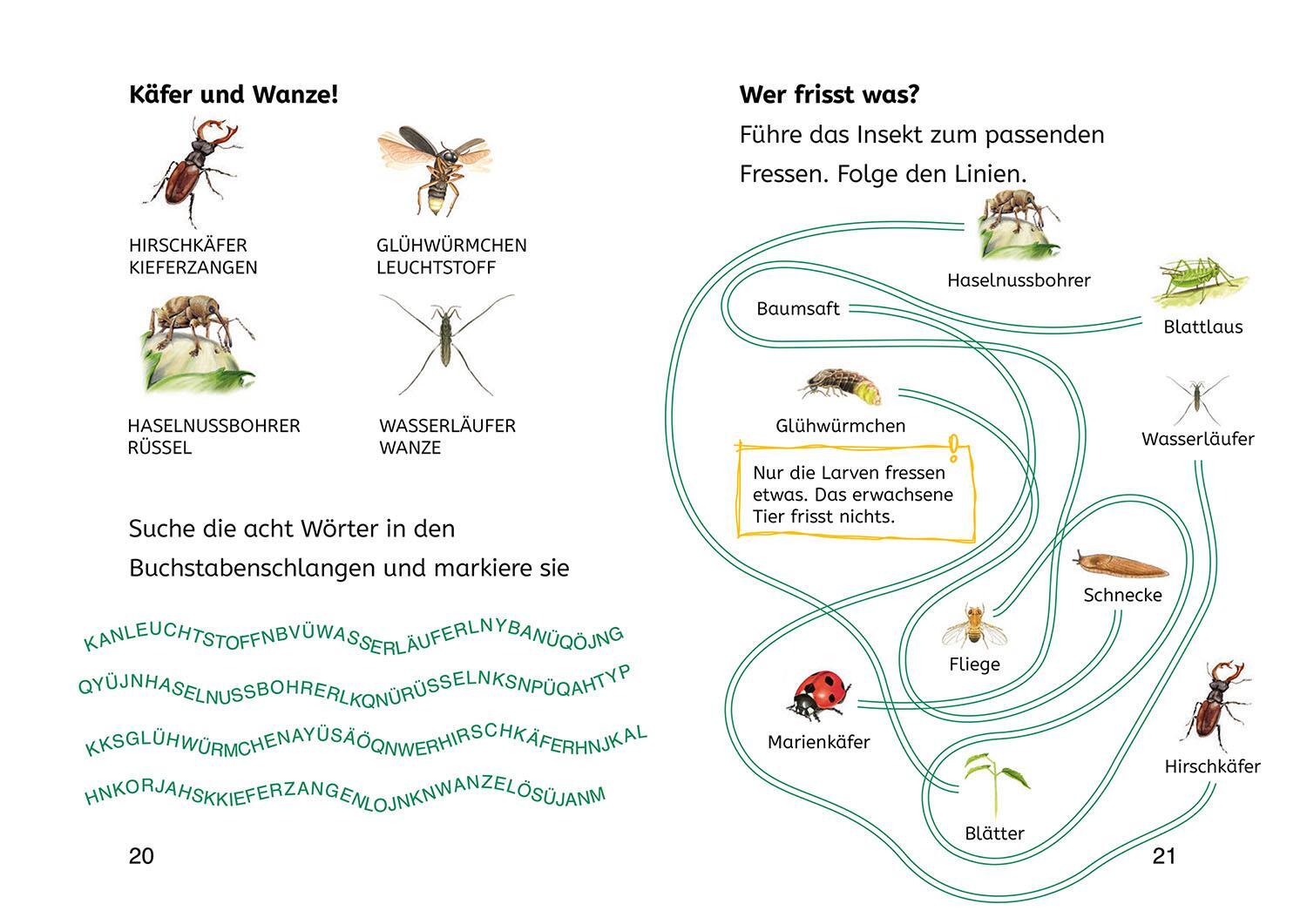 Bild: 9783440178195 | Lesen lernen mit Naturrätseln, Bücherhelden 2. Klasse, Insekten &amp;...