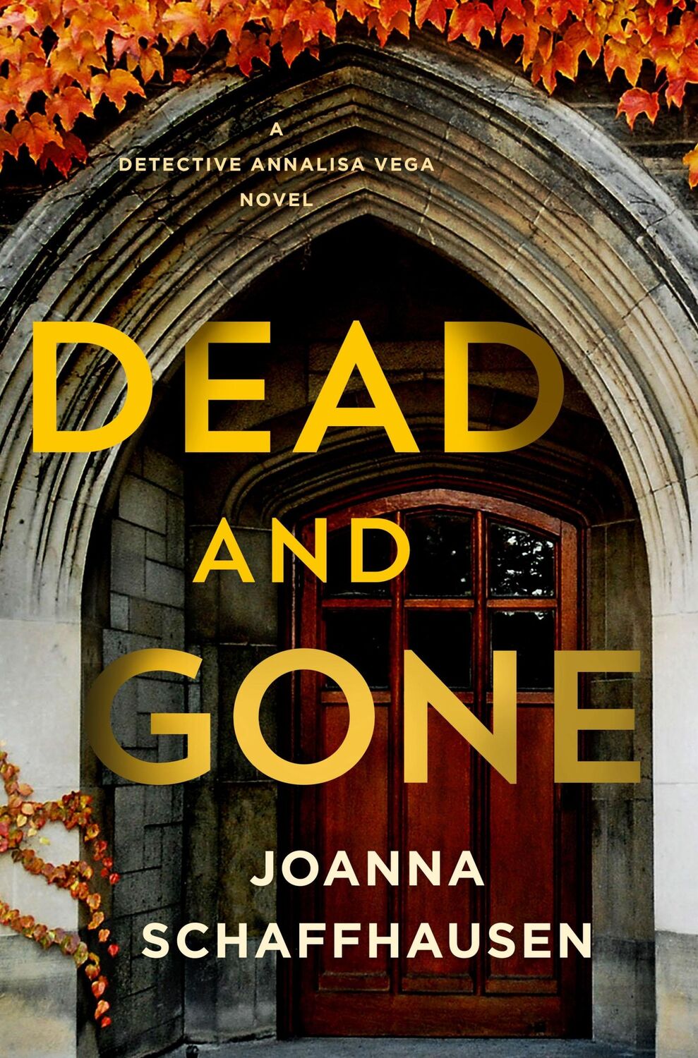 Cover: 9781250853370 | Dead and Gone | A Detective Annalisa Vega Novel | Joanna Schaffhausen