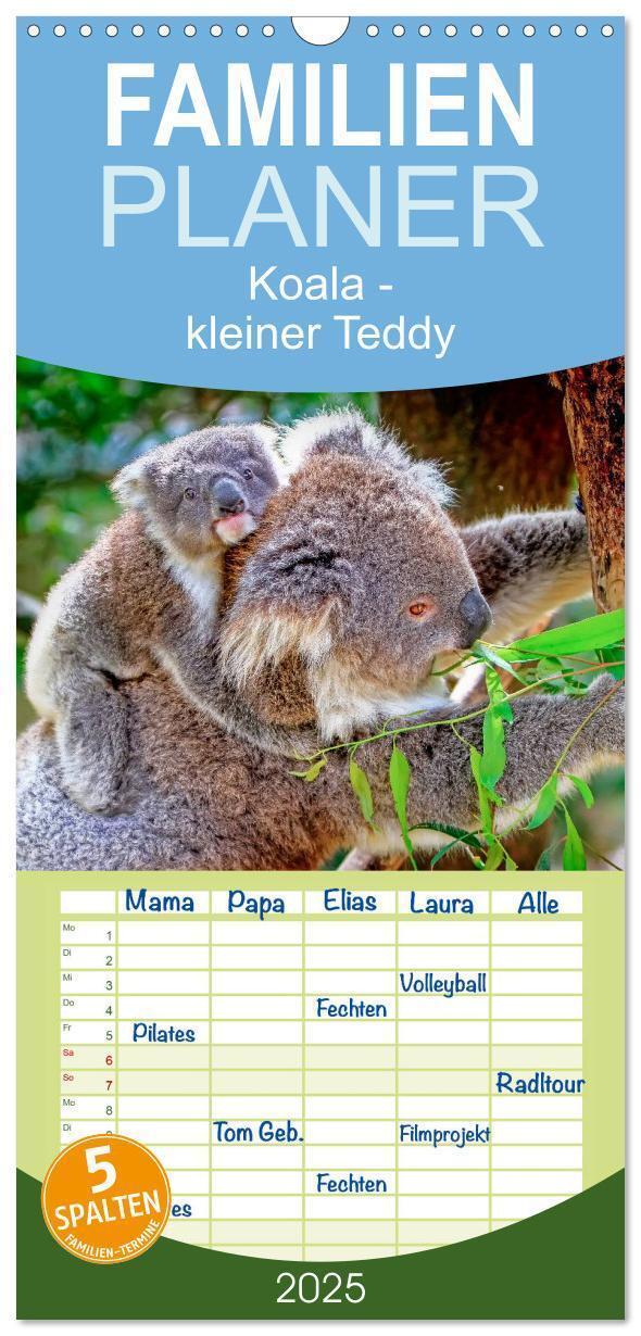 Cover: 9783457126486 | Familienplaner 2025 - Koala - kleiner Teddy mit 5 Spalten...