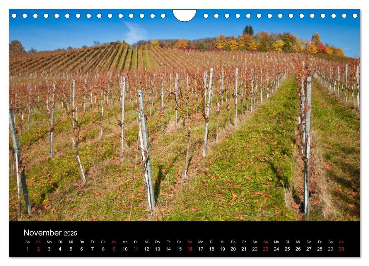 Bild: 9783435718948 | Weinberge im Remstal (Wandkalender 2025 DIN A4 quer), CALVENDO...