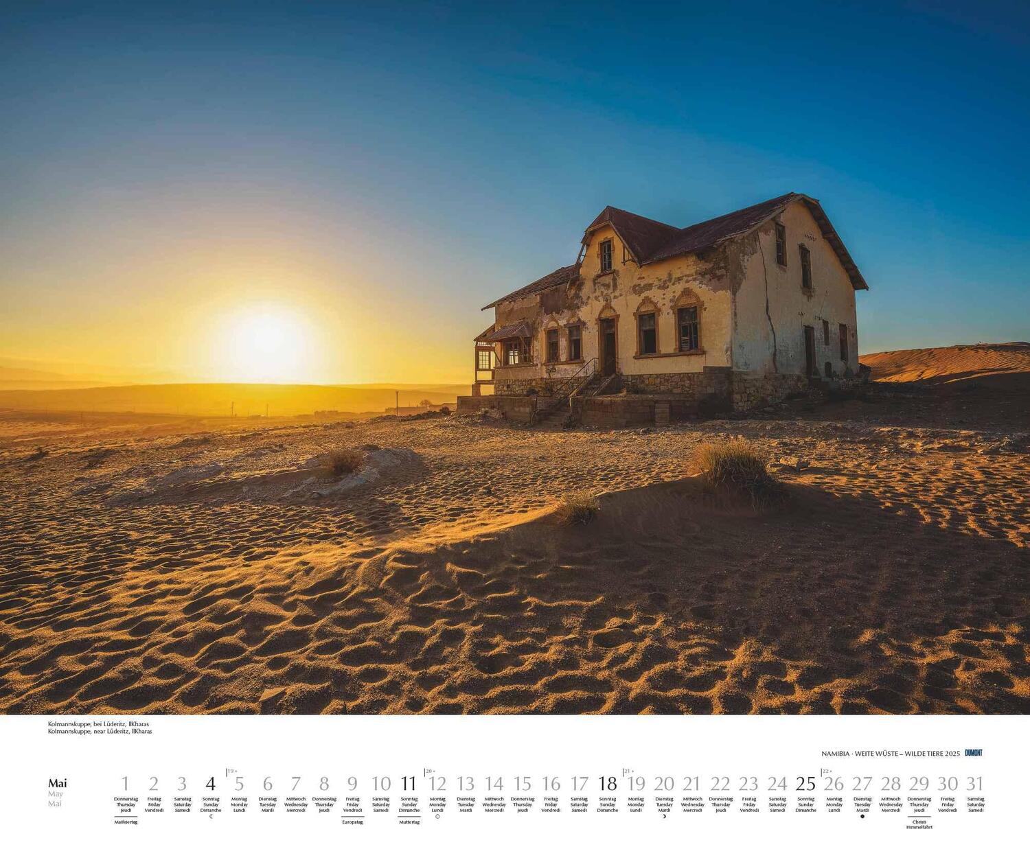 Bild: 4250809653761 | Namibia 2025 - Foto-Kalender - Poster-Kalender - 60x50 - Wildnis -...