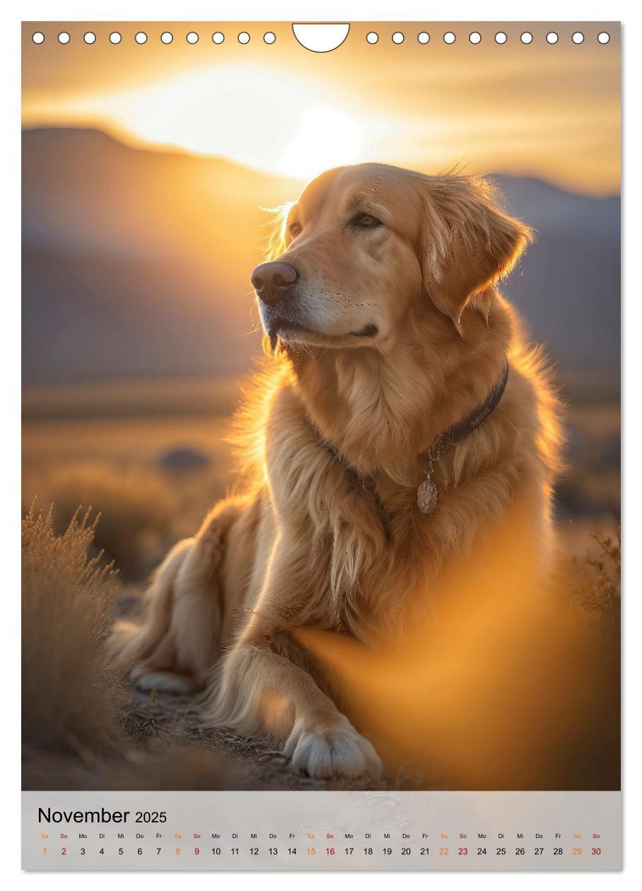 Bild: 9783435881246 | Golden Retriever - ein Hund für die Familie (Wandkalender 2025 DIN...