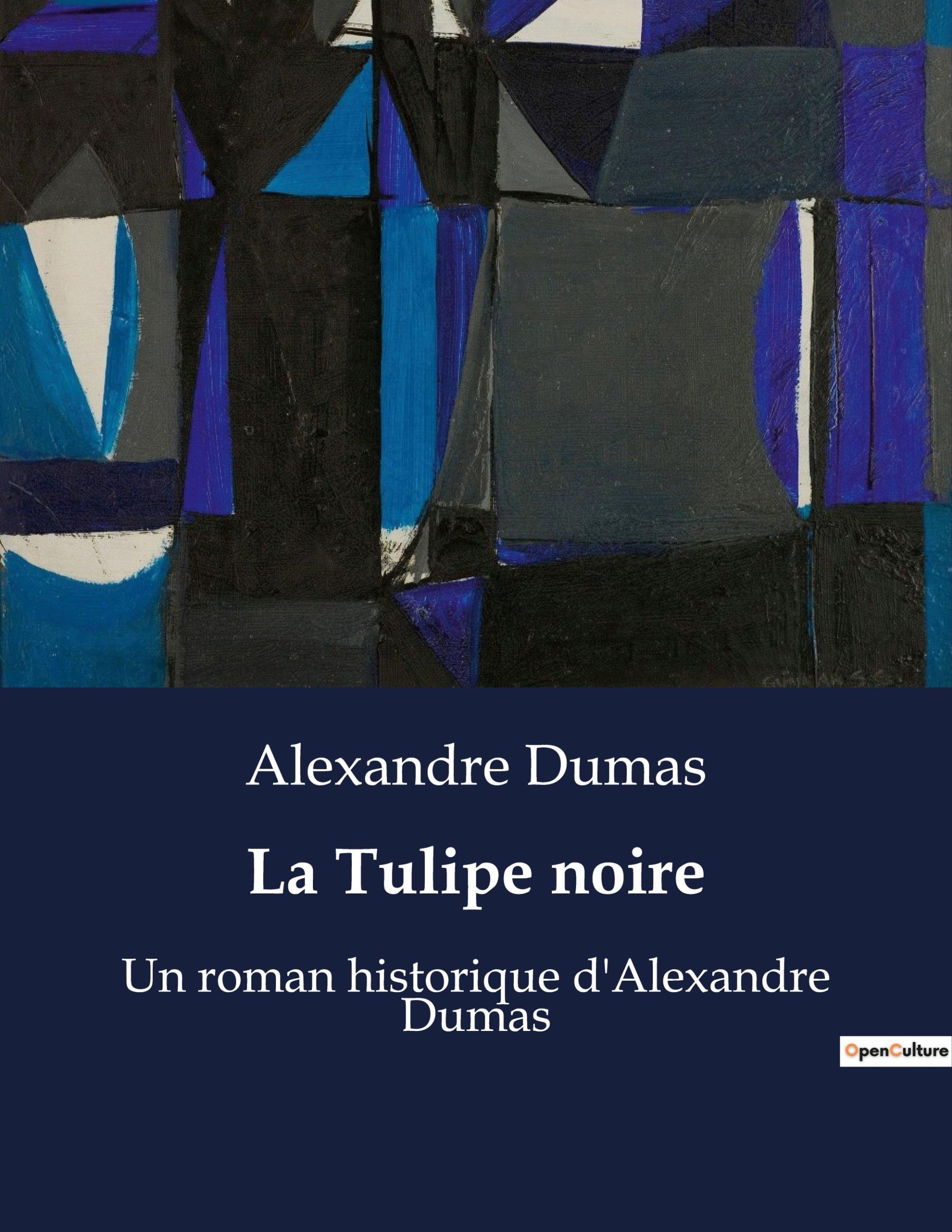 Cover: 9791041929696 | La Tulipe noire | Un roman historique d'Alexandre Dumas | Dumas | Buch