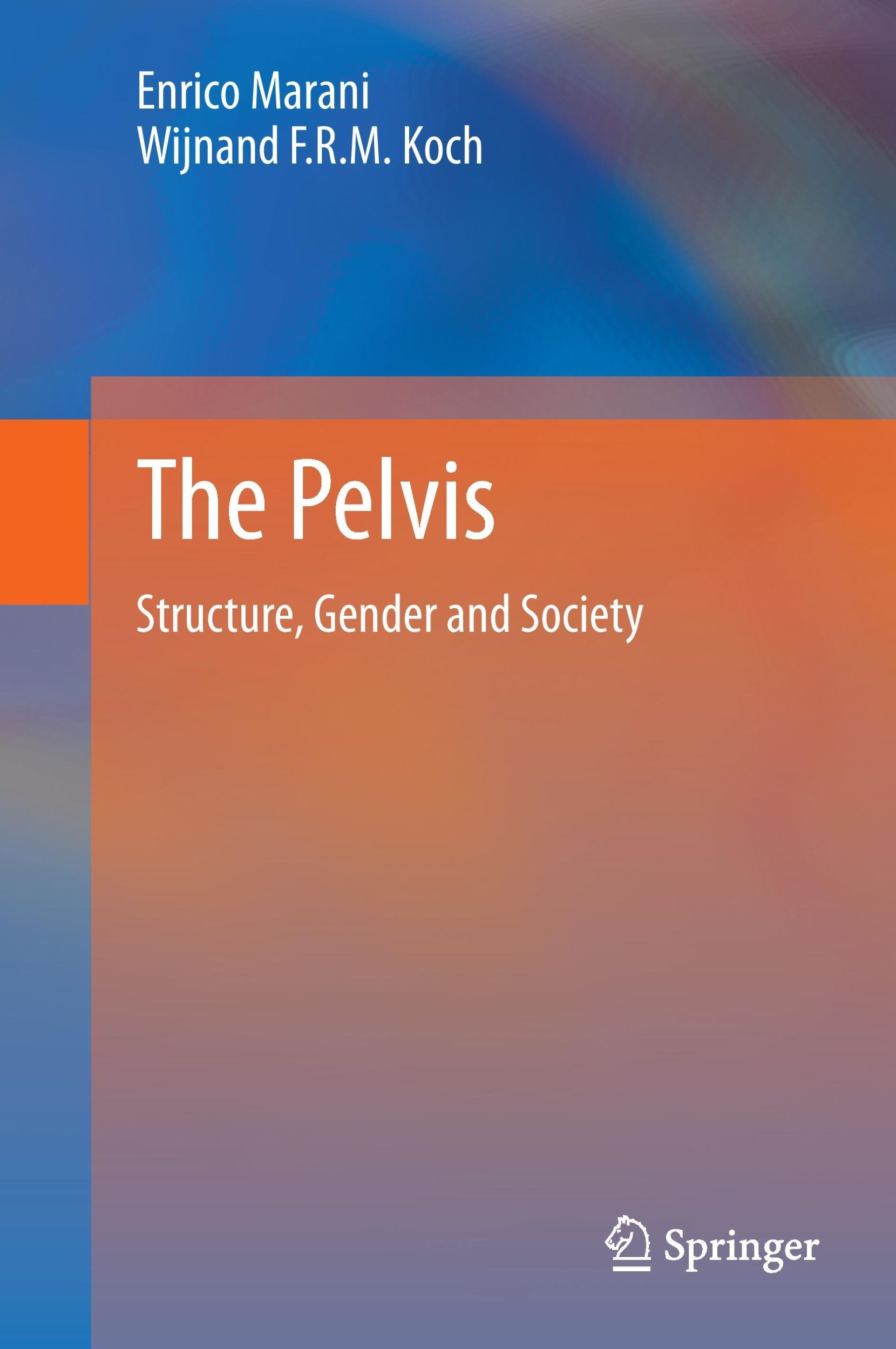 Cover: 9783642400056 | The Pelvis | Structure, Gender and Society | Koch (u. a.) | Buch