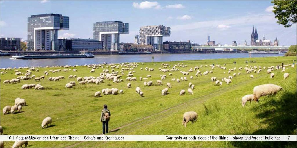 Bild: 9783957990617 | Köln/Cologne - Book To Go | Der Bildband für die Hosentasche | Buch