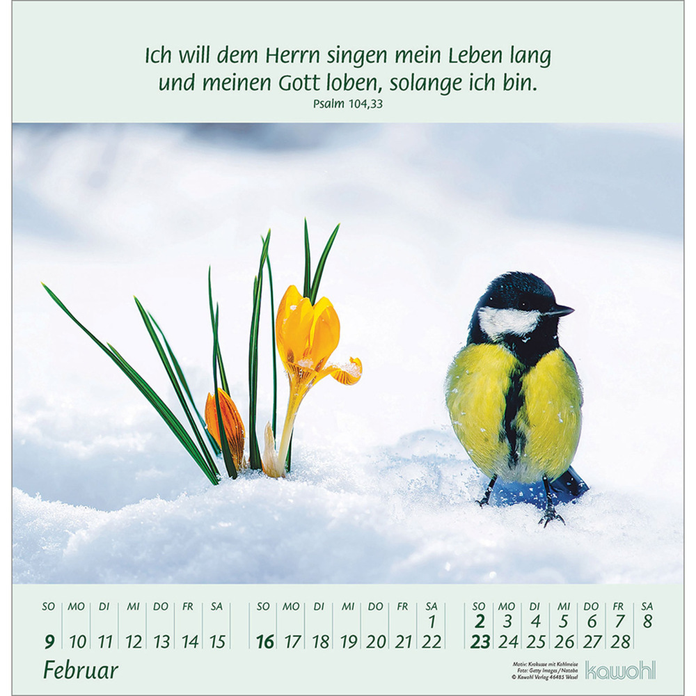 Bild: 9783754826058 | Blumengrüße 2025 | Kalender mit Bibelworten und Blumenbildern | 14 S.