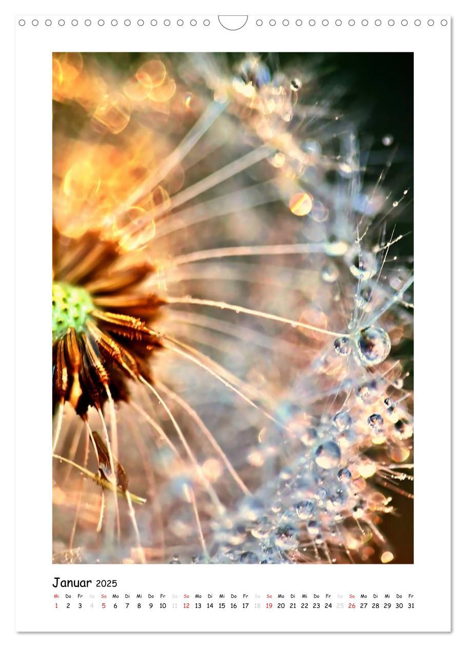 Bild: 9783457054536 | Die Pusteblume neu erleben (Wandkalender 2025 DIN A3 hoch),...