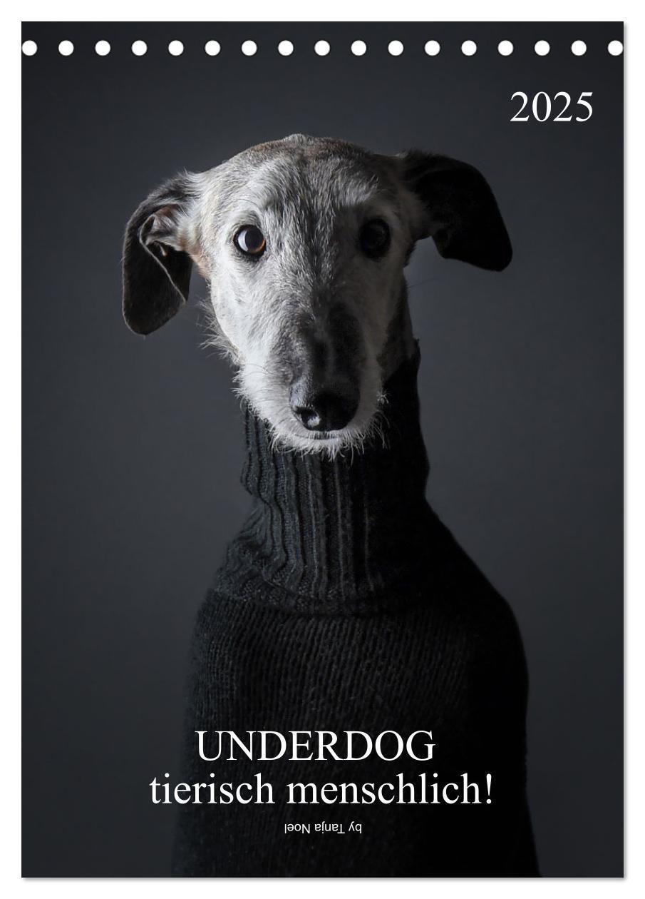 Cover: 9783435920884 | UNDERDOG - Windhundportraits (Tischkalender 2025 DIN A5 hoch),...