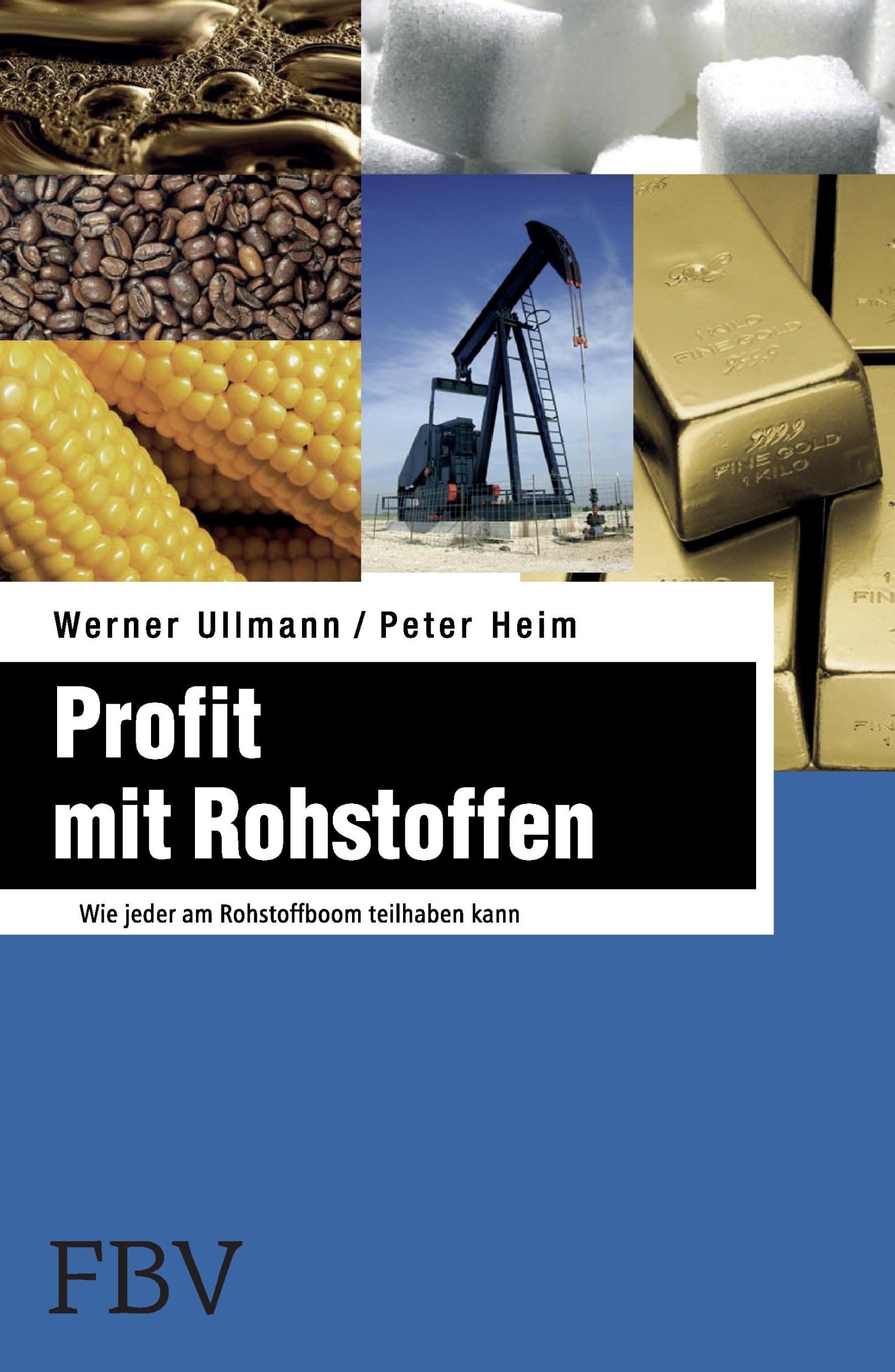 Cover: 9783898797849 | Profit mit Rohstoffen | Wie jeder am Rohstoffboom teilhaben kann