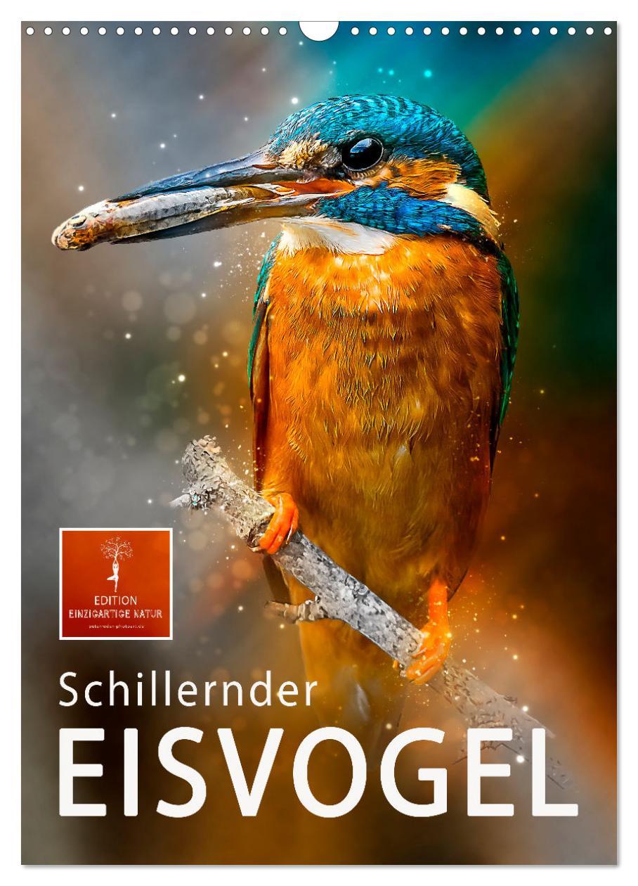 Cover: 9783435917747 | Schillernder Eisvogel (Wandkalender 2025 DIN A3 hoch), CALVENDO...