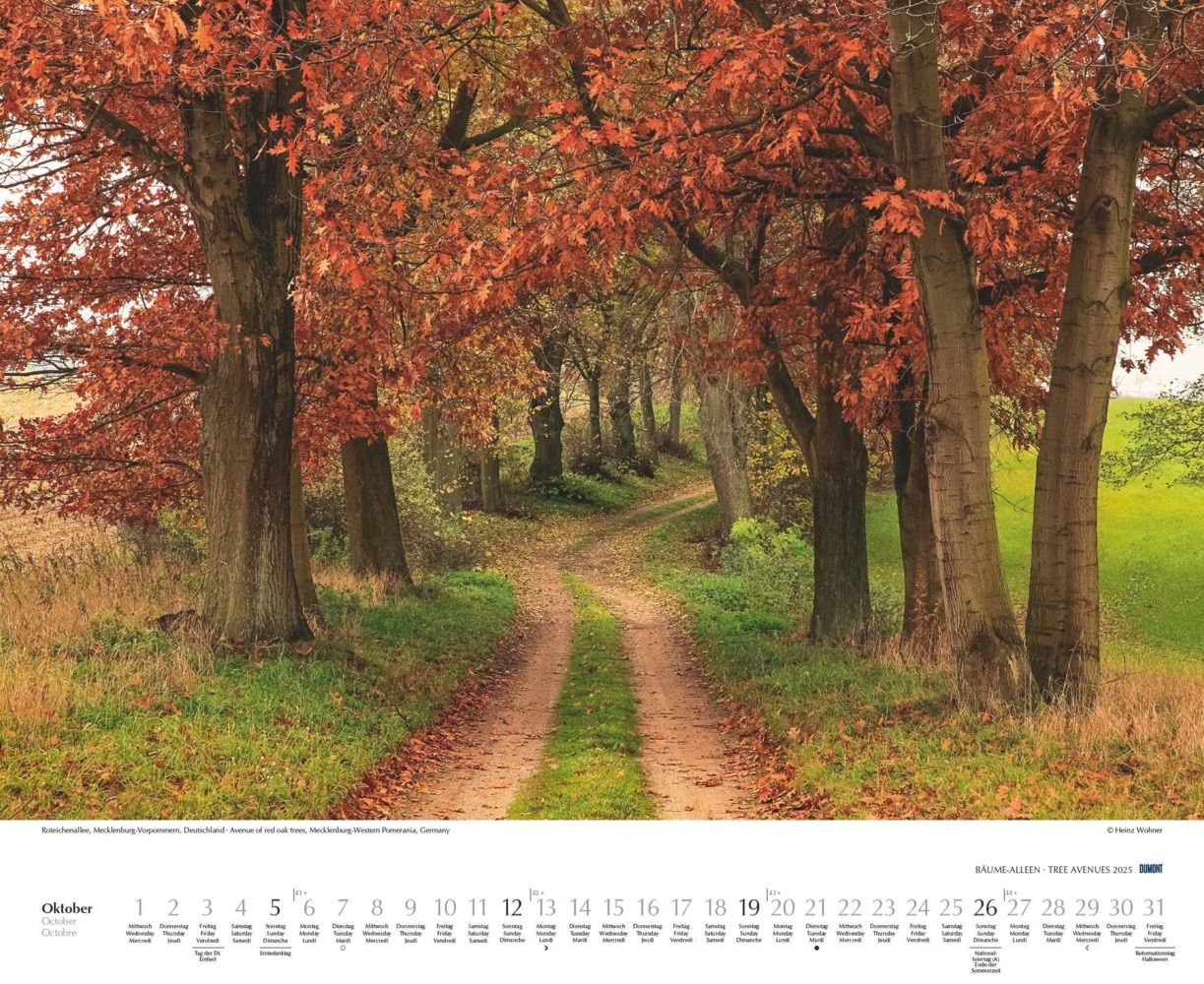 Bild: 4250809652702 | DUMONT - Bäume - Alleen 2025 Wandkalender 52x42,5cm, Kalender mit...