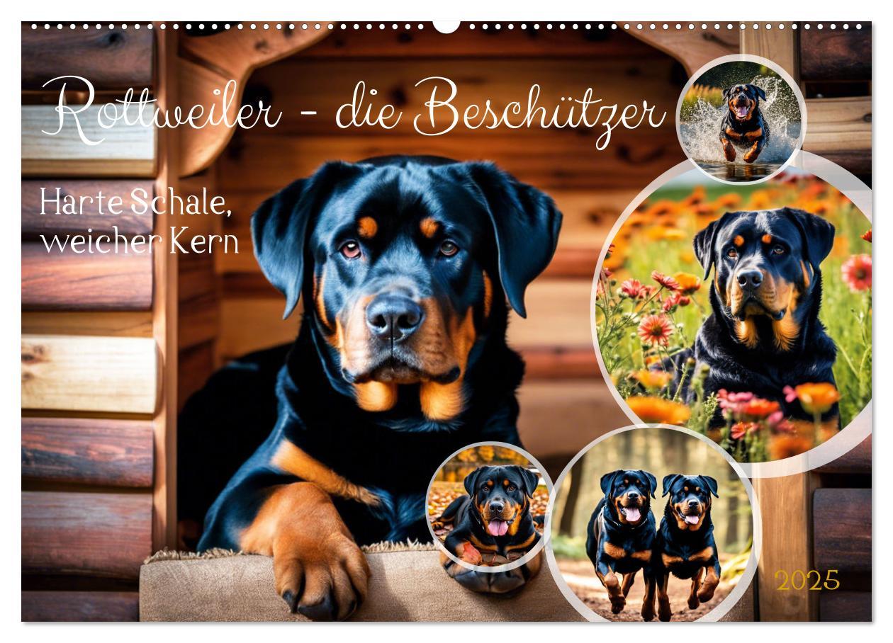 Cover: 9783457128886 | Rottweiler - die Beschützer (Wandkalender 2025 DIN A2 quer),...