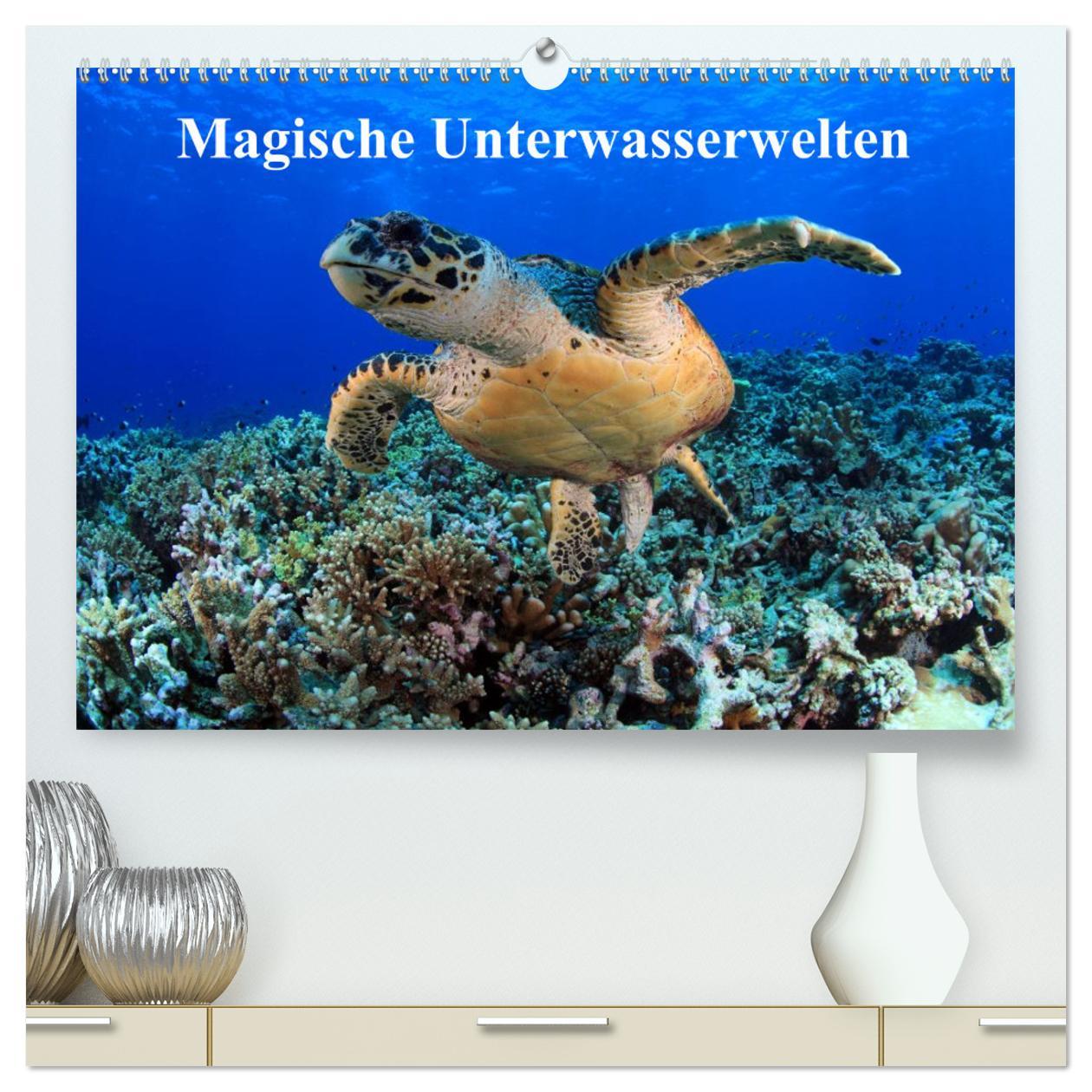 Cover: 9783435476008 | Magische Unterwasserwelten (hochwertiger Premium Wandkalender 2025...