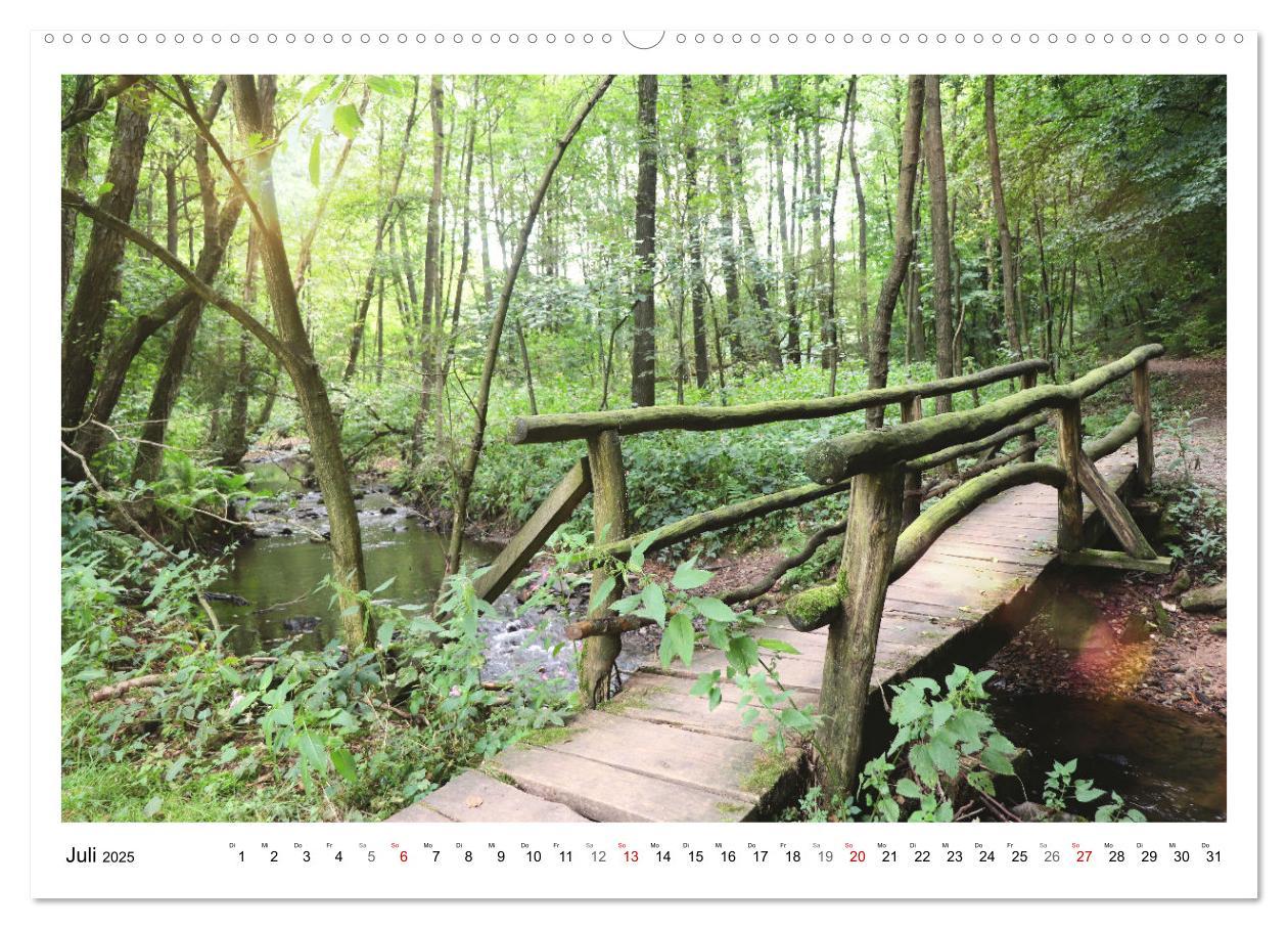 Bild: 9783435079957 | Mein Sehnsuchtsort, der heimische Wald (Wandkalender 2025 DIN A2...