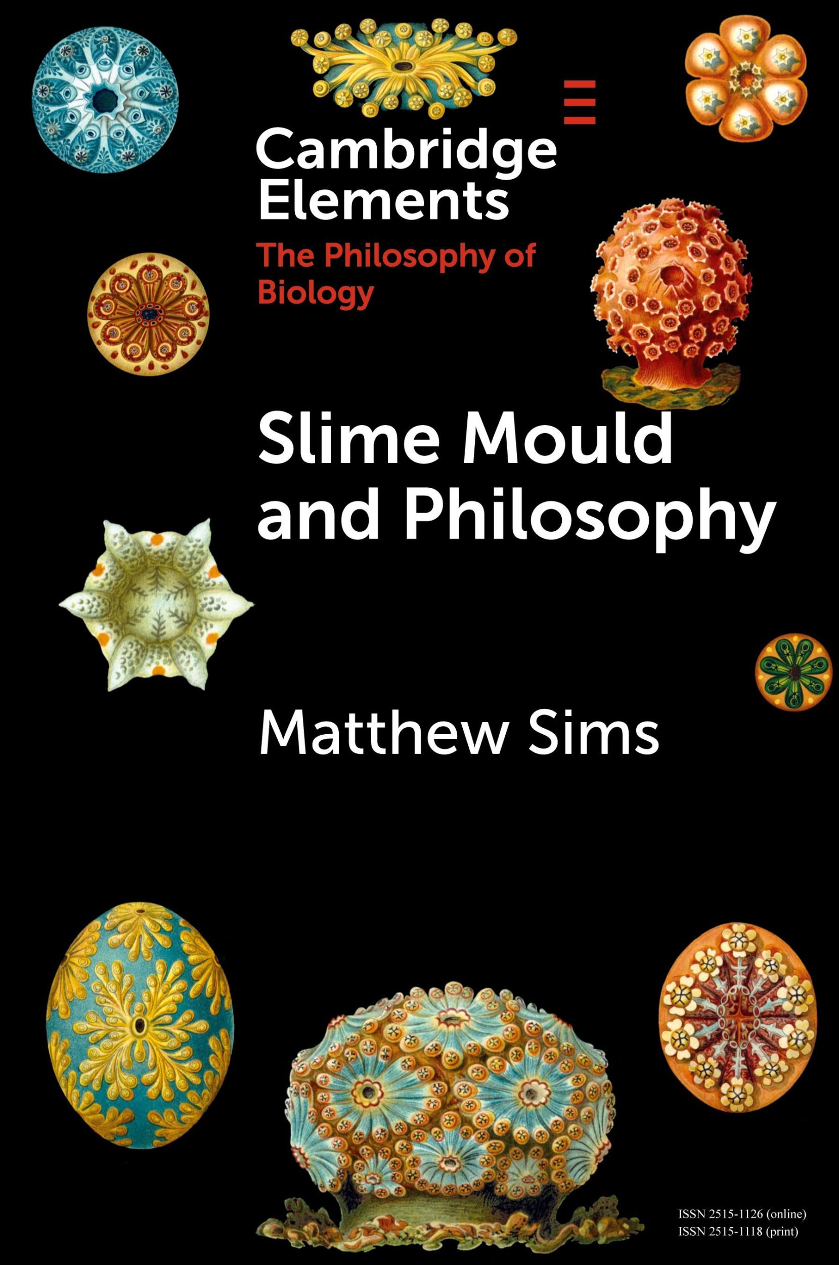 Cover: 9781009488617 | Slime Mould and Philosophy | Matthew Sims | Taschenbuch | Englisch